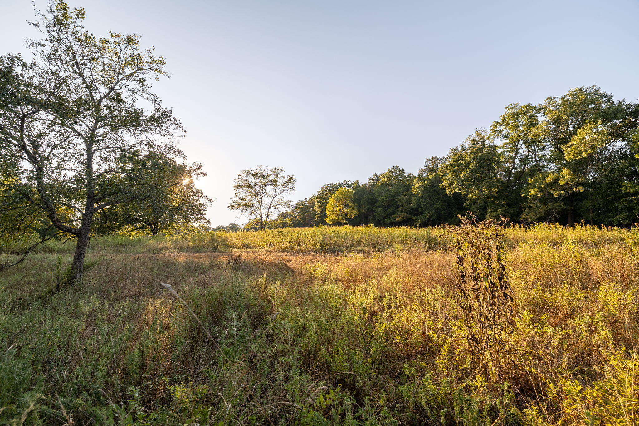 Photo 47 - Land for sale – 0000  State Highway 90   Washburn, MO