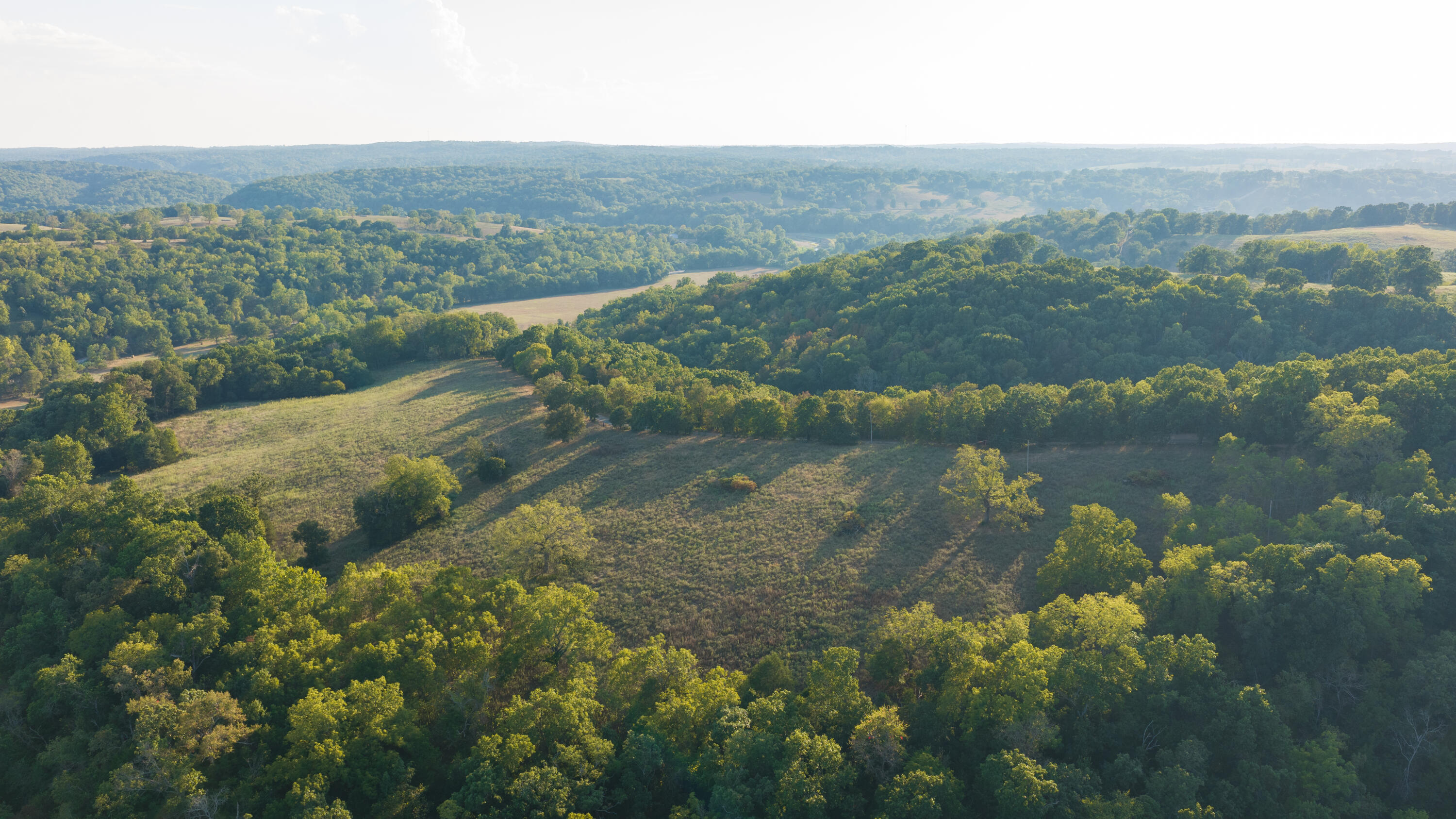 Photo 4 - Land for sale – 0000  State Highway 90   Washburn, MO