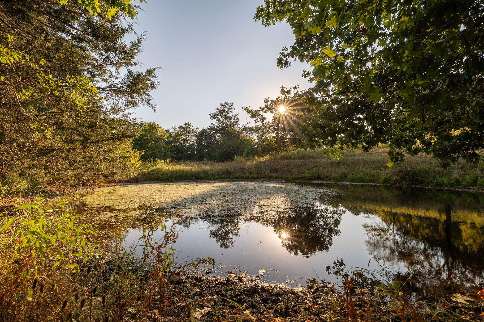 Photo 29 - Land for sale – 0000  State Highway 90   Washburn, MO