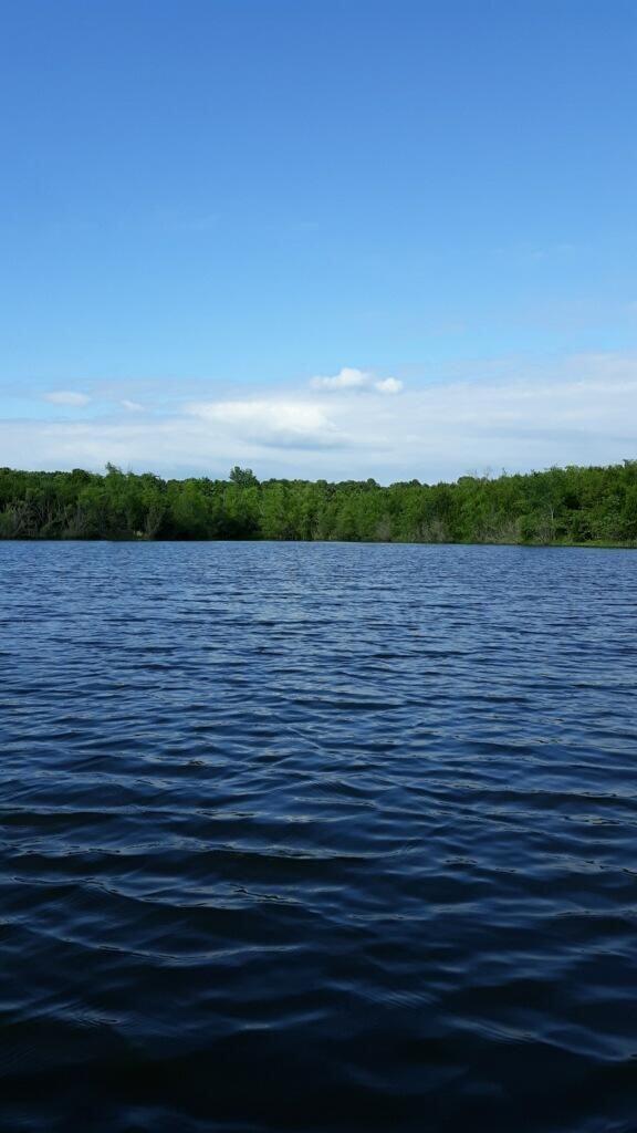 Photo 2 - Land for sale – 000  Sunset Drive, Lot 4   Marshfield, MO