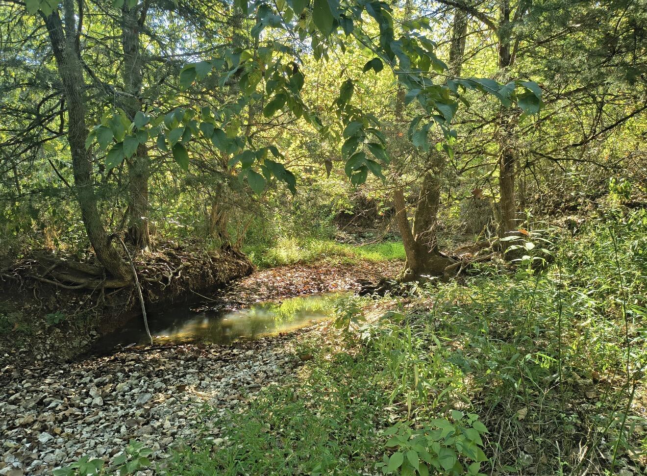 Photo 28 - Land for sale – Tract Z&T  Red Rock Road  Galena, MO