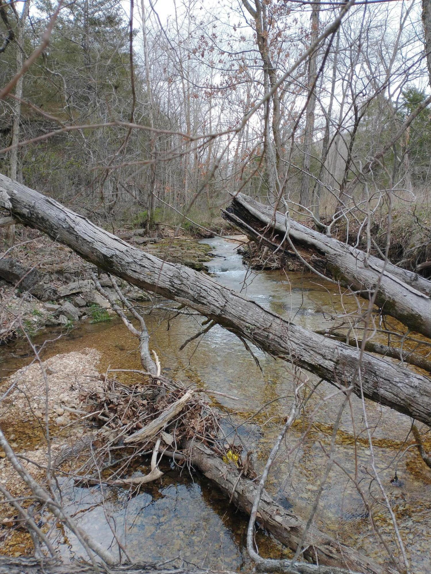 Photo 31 - Land for sale – Tract Z&T  Red Rock Road  Galena, MO
