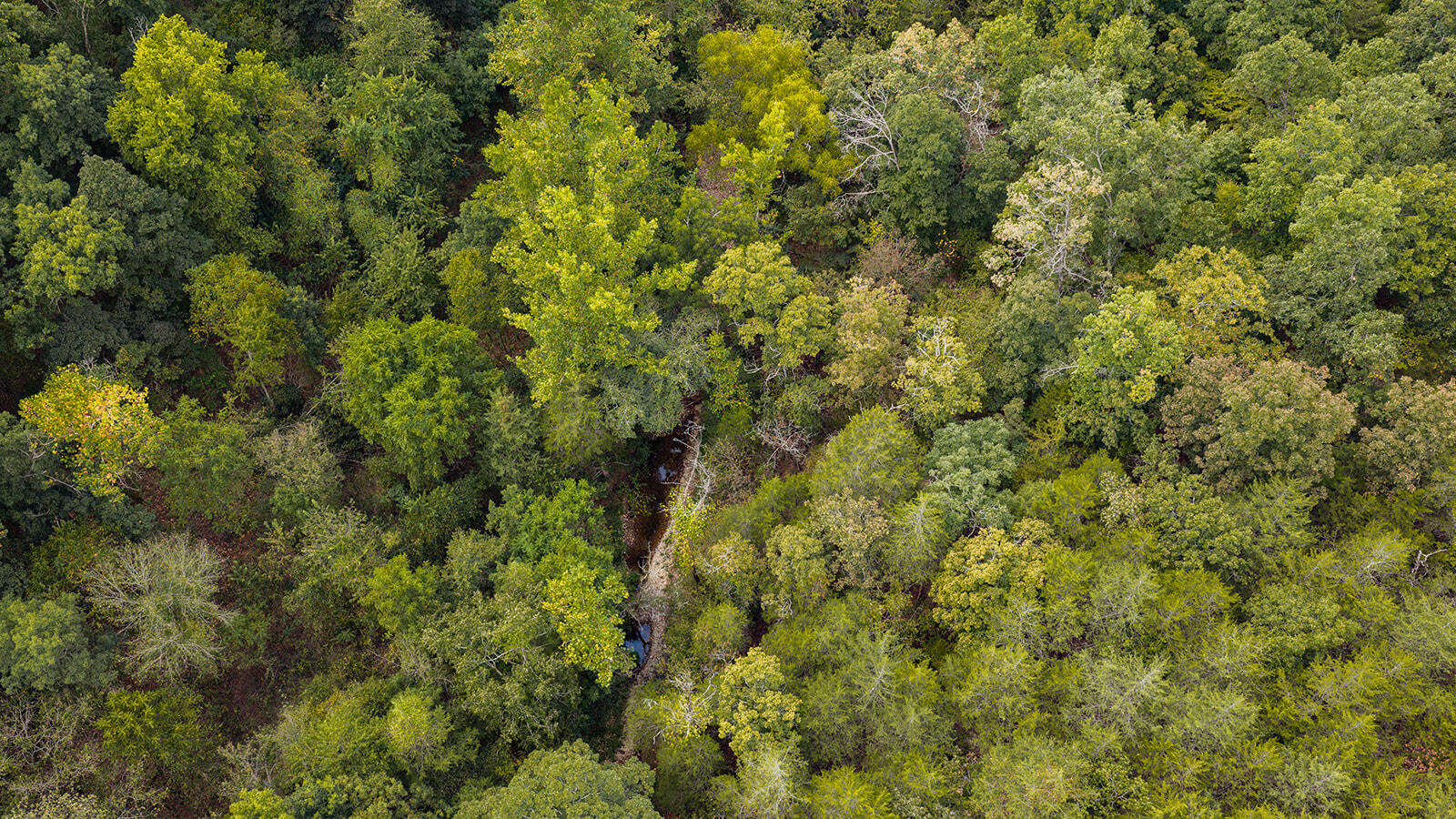 Photo 23 - Land for sale – Tract Z&T  Red Rock Road  Galena, MO