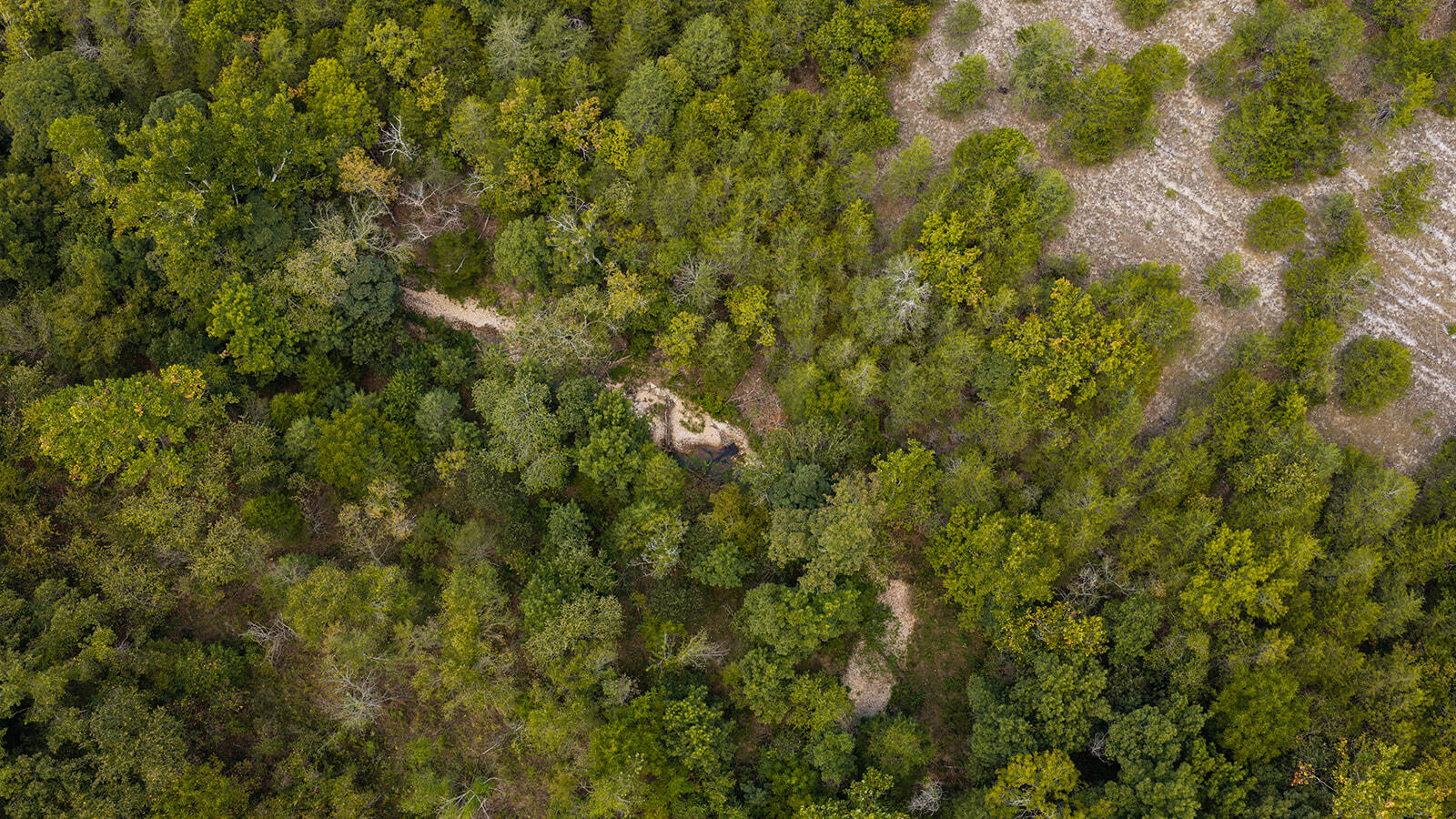 Photo 22 - Land for sale – Tract Z&T  Red Rock Road  Galena, MO