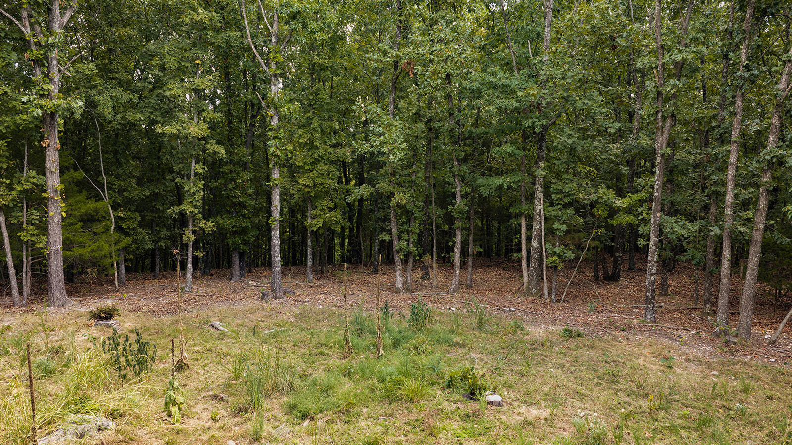 Photo 10 - Land for sale – Tract Z&T  Red Rock Road  Galena, MO