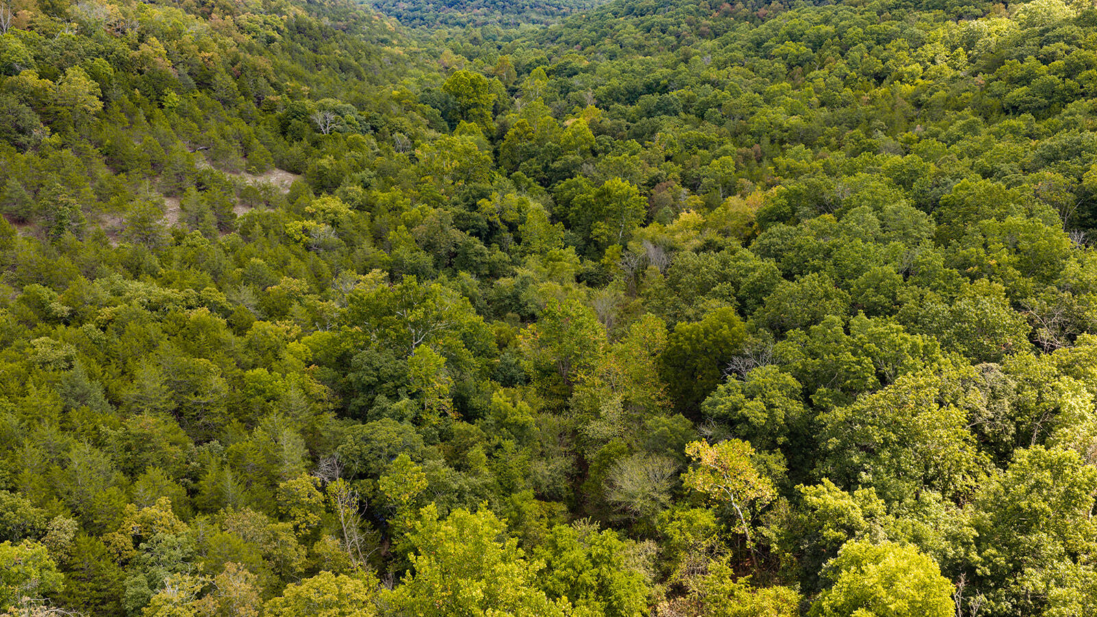 Photo 44 - Land for sale – Tract Z&T  Red Rock Road  Galena, MO