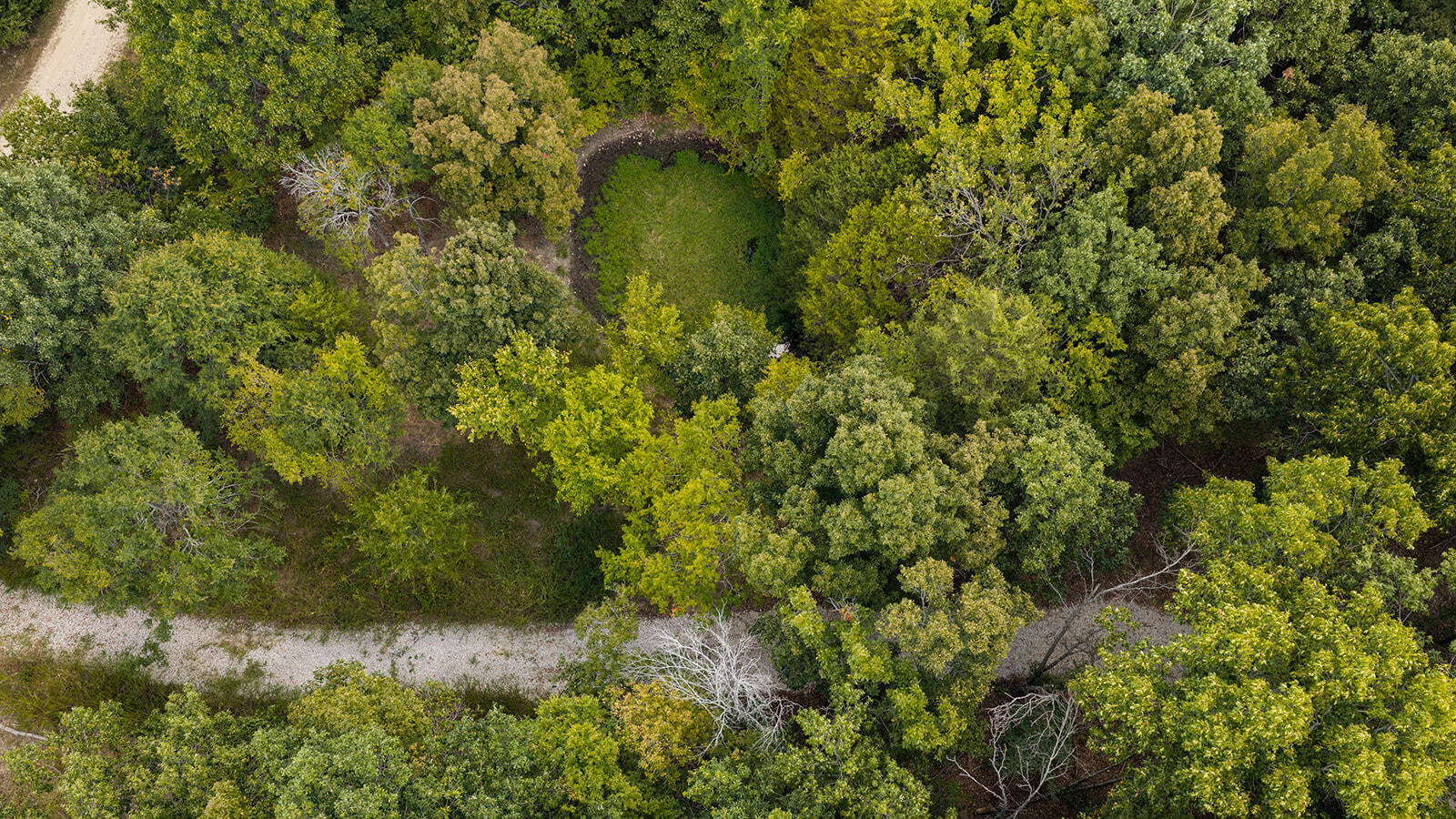 Photo 6 - Land for sale – Tract Z&T  Red Rock Road  Galena, MO