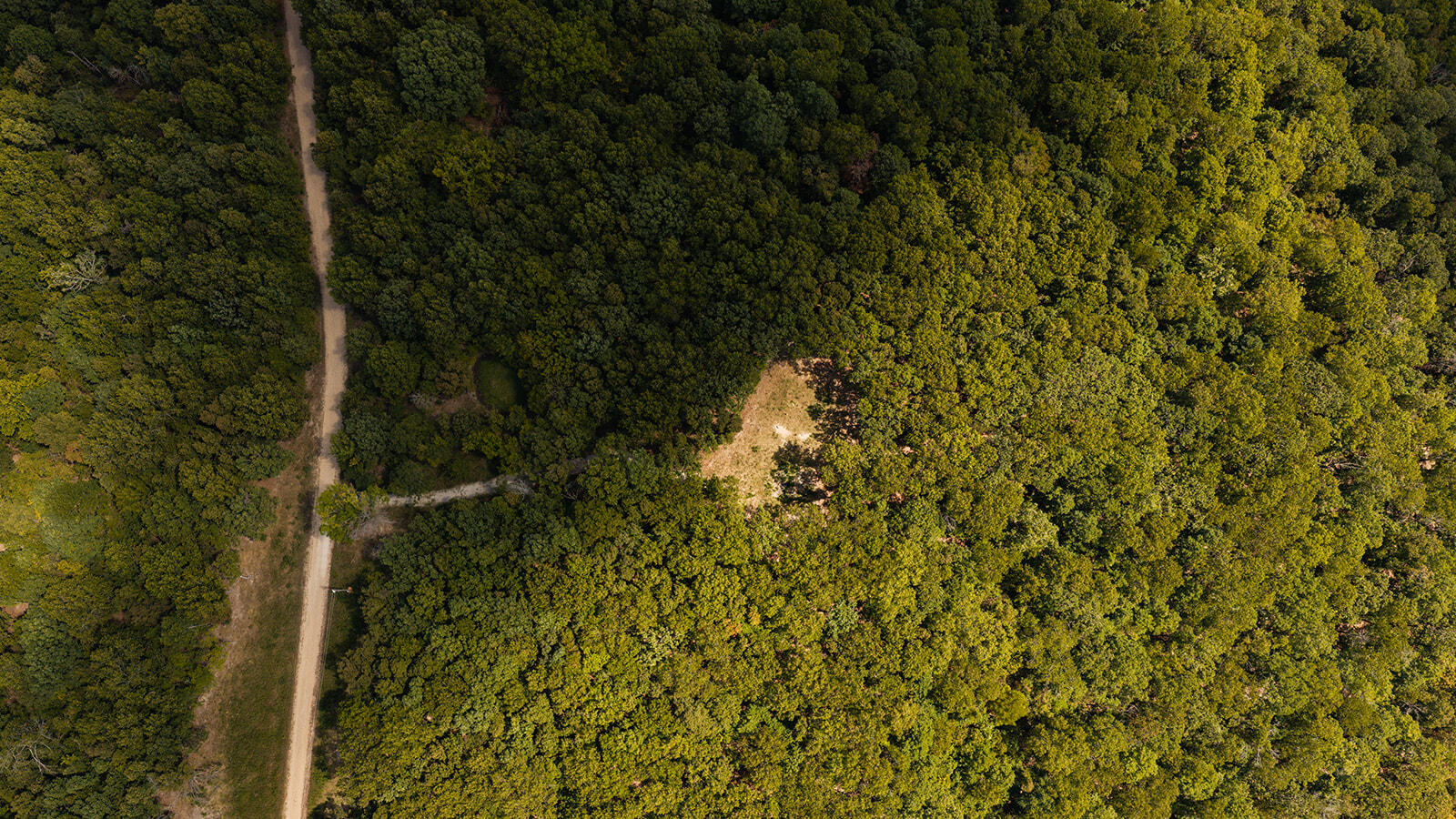 Photo 4 - Land for sale – Tract Z&T  Red Rock Road  Galena, MO