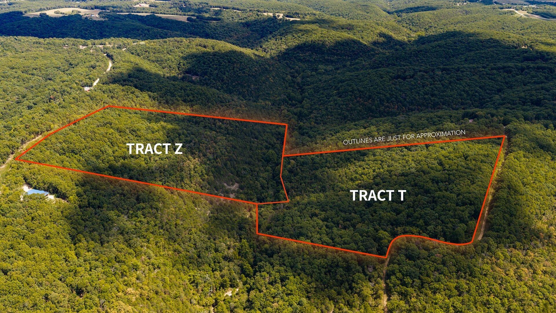 Photo 2 - Land for sale – Tract Z  Red Rock Road  Galena, MO