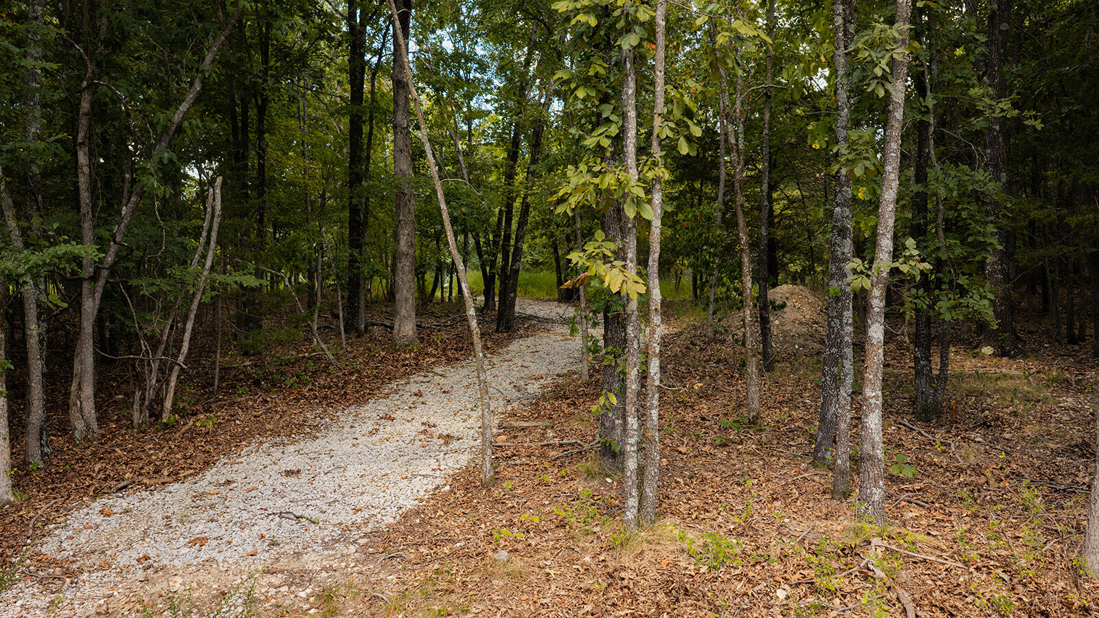 Photo 6 - Land for sale – Tract Z  Red Rock Road  Galena, MO