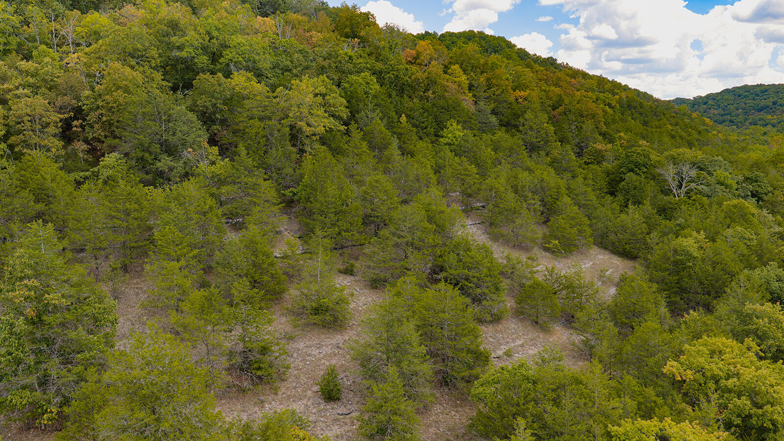 Photo 39 - Land for sale – Tract Z  Red Rock Road  Galena, MO