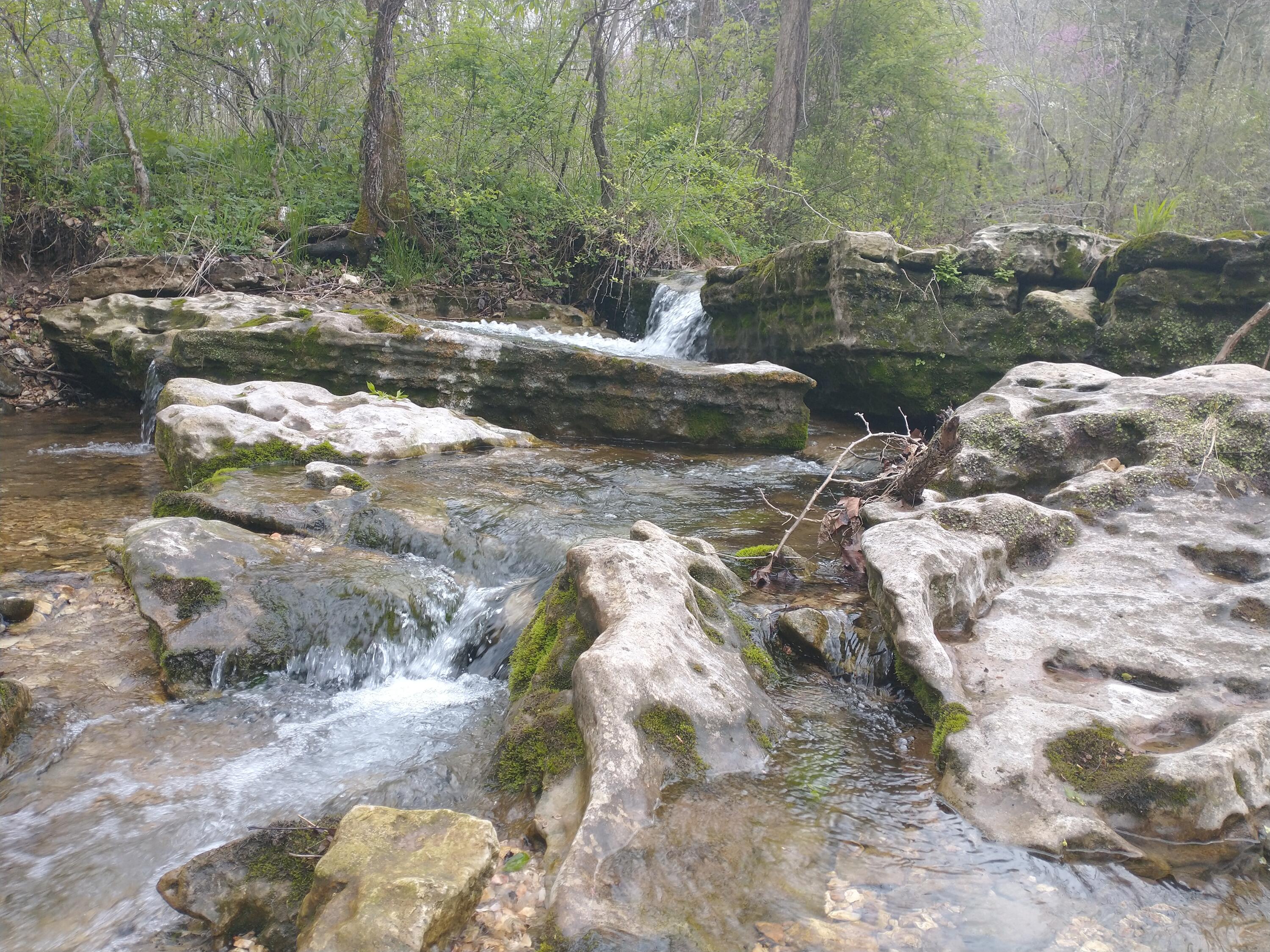 Photo 21 - Land for sale – Tract Z  Red Rock Road  Galena, MO