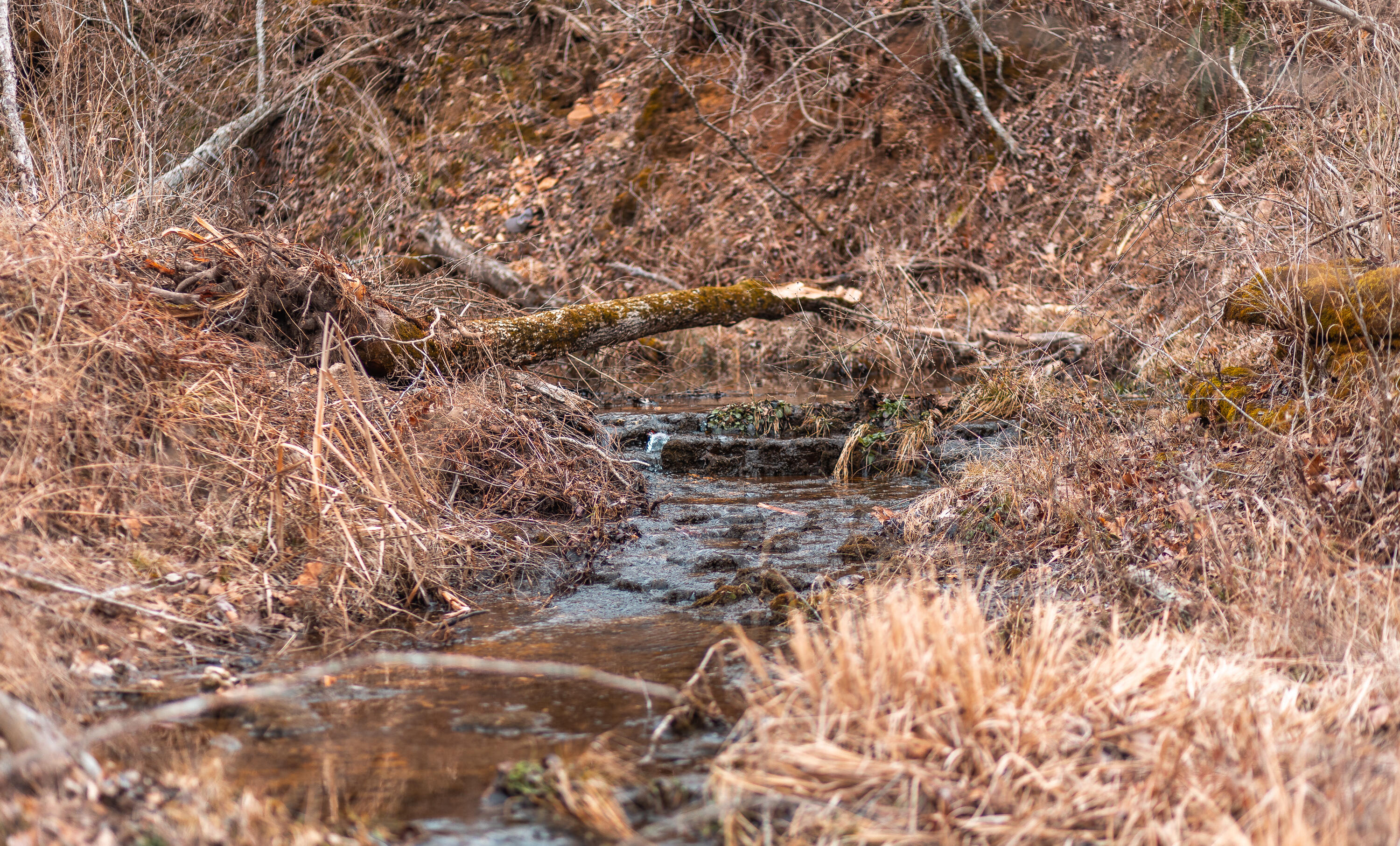 Photo 17 - Land for sale – 000  Pool Holler Cave Road  Rolla, MO