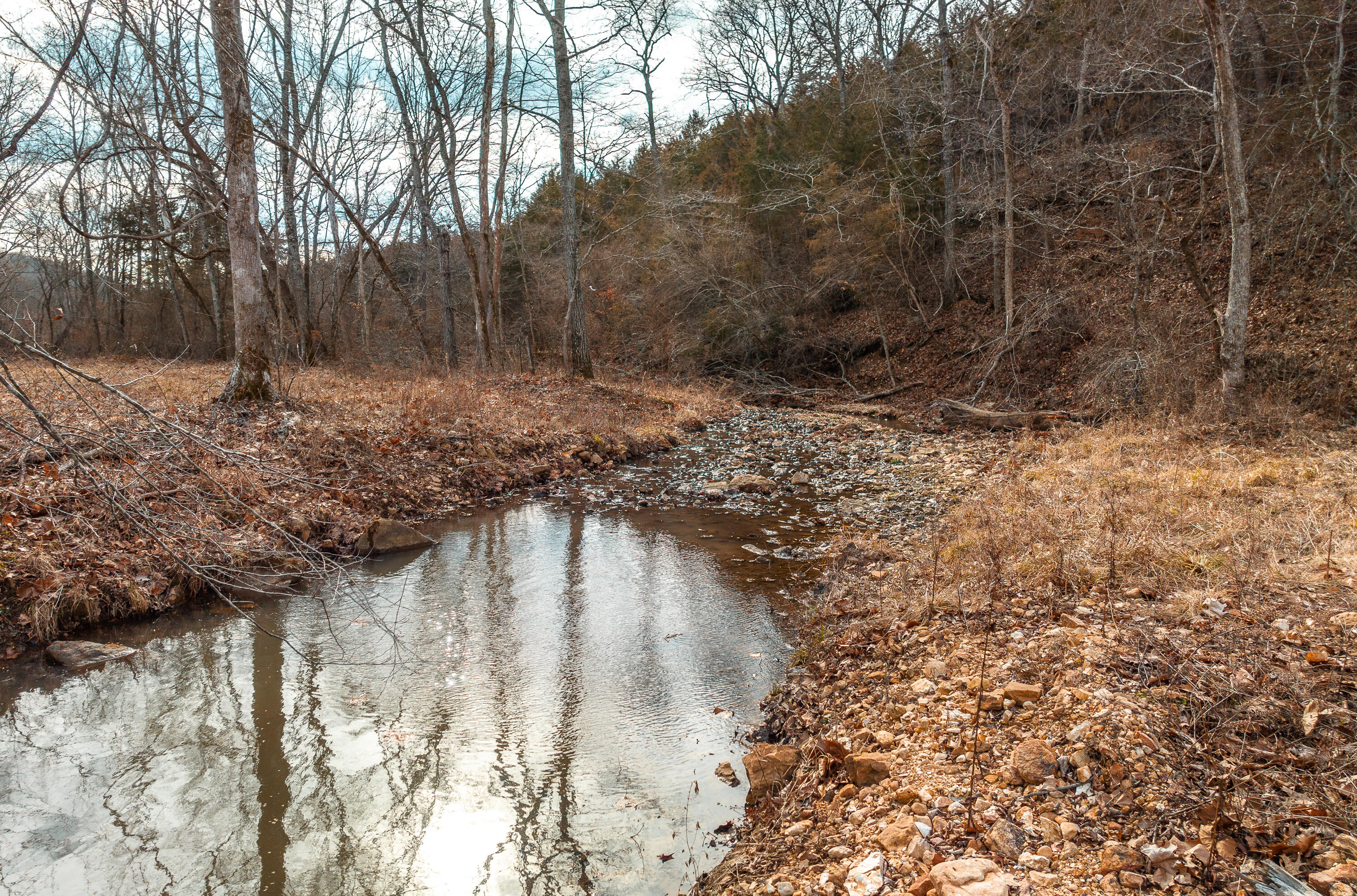 Photo 19 - Land for sale – 000  Pool Holler Cave Road  Rolla, MO
