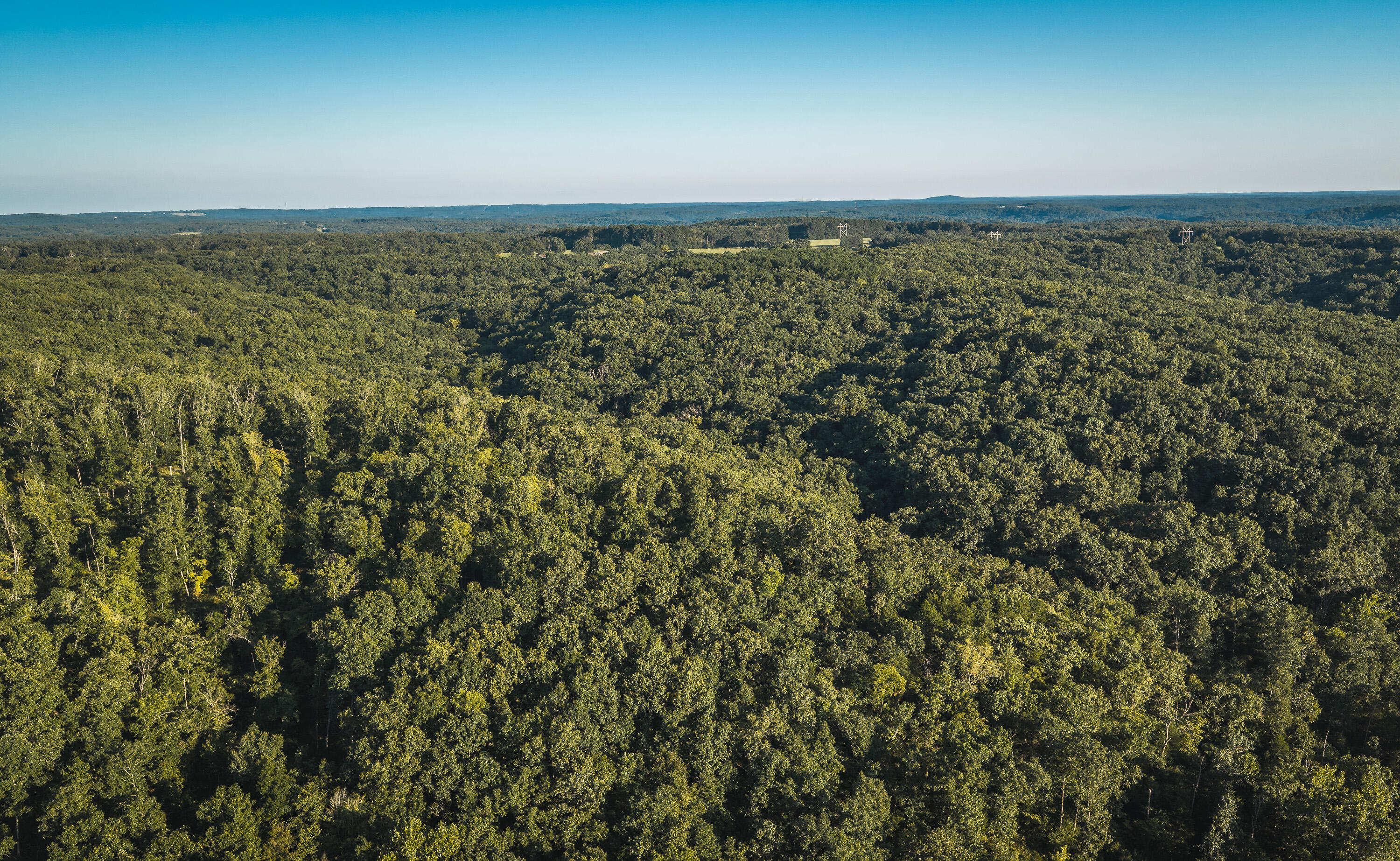 Photo 34 - Land for sale – 000  Pool Holler Cave Road  Rolla, MO