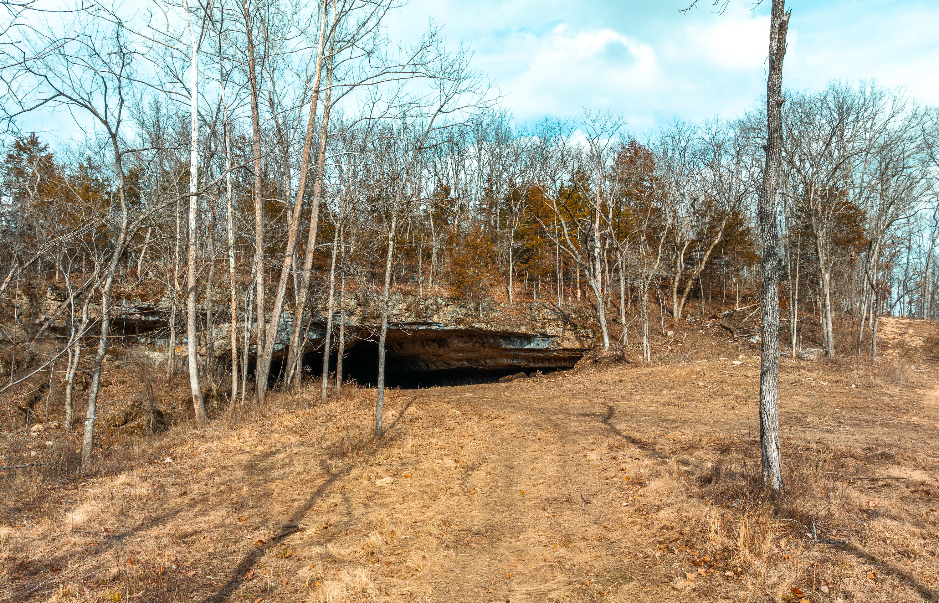 Photo 3 - Land for sale – 000  Pool Holler Cave Road  Rolla, MO