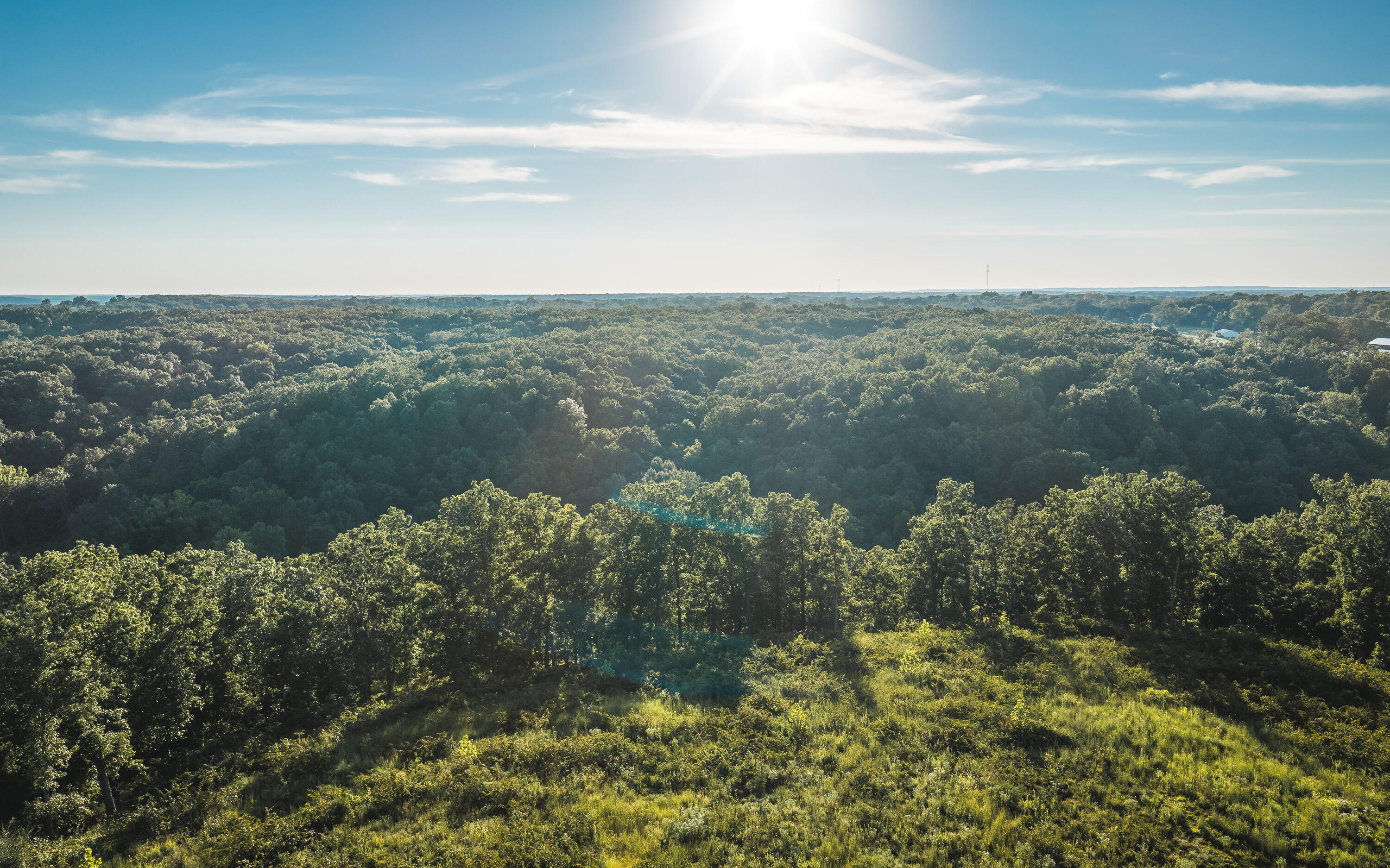 Land for sale – 000  Pool Holler Cave Road  Rolla, MO