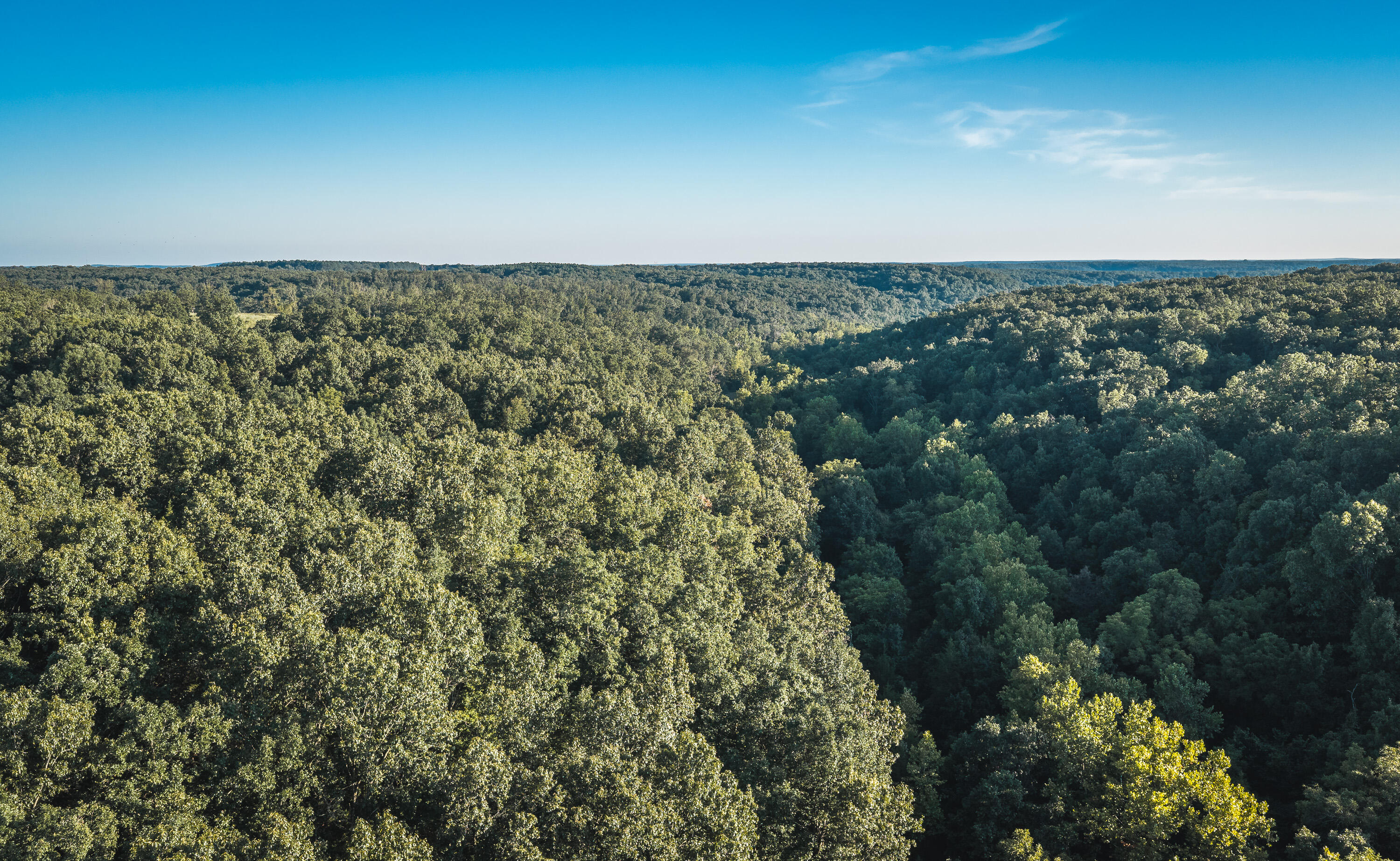 Photo 30 - Land for sale – 000  Pool Holler Cave Road  Rolla, MO