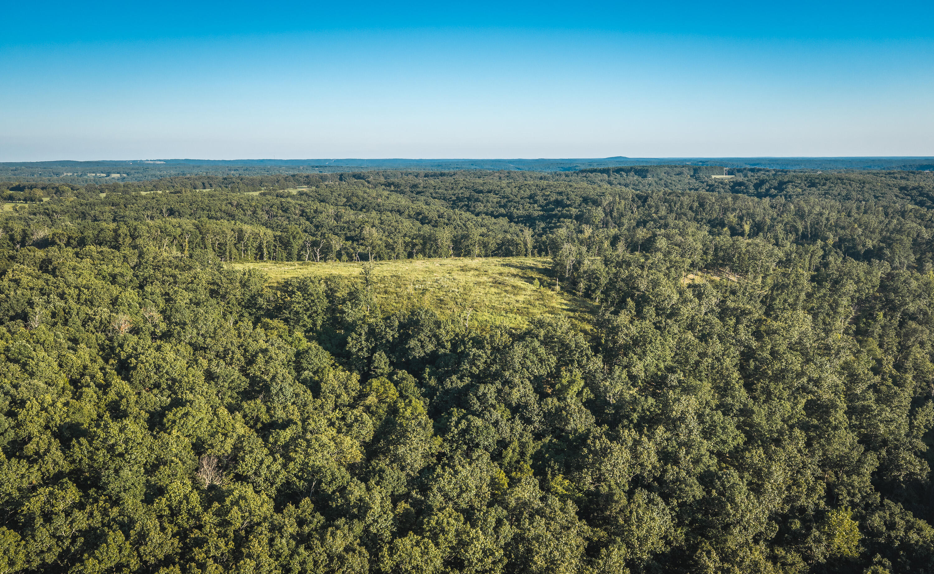 Photo 2 - Land for sale – 000  Pool Holler Cave Road  Rolla, MO