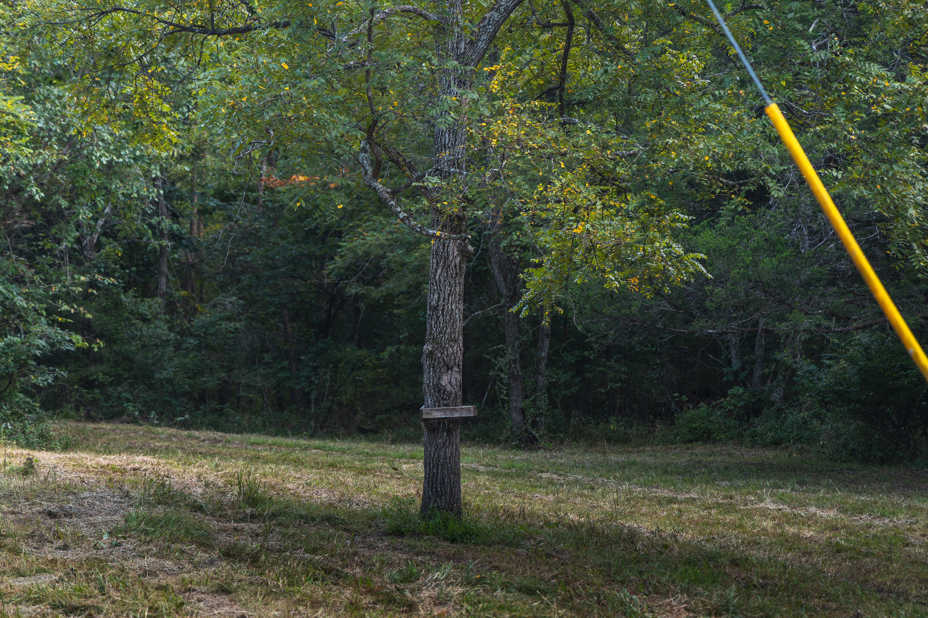 Photo 23 - Land for sale – 000  Pool Holler Cave Road  Rolla, MO