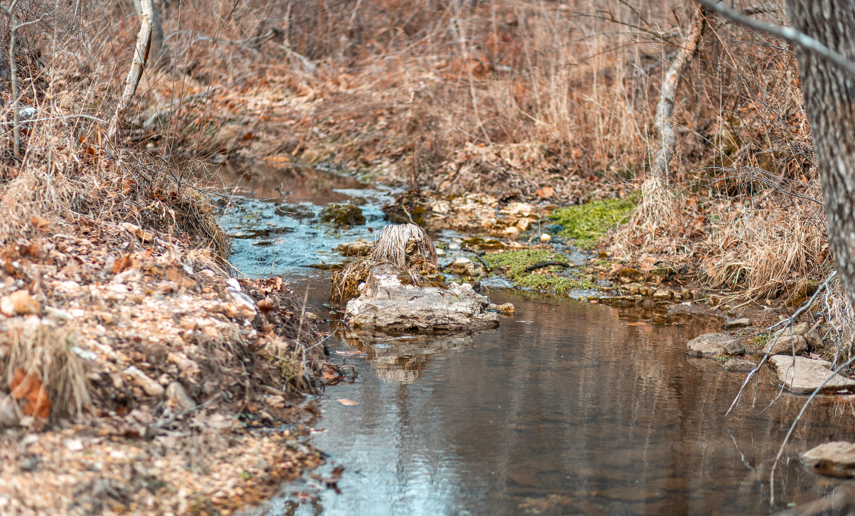 Photo 18 - Land for sale – 000  Pool Holler Cave Road  Rolla, MO