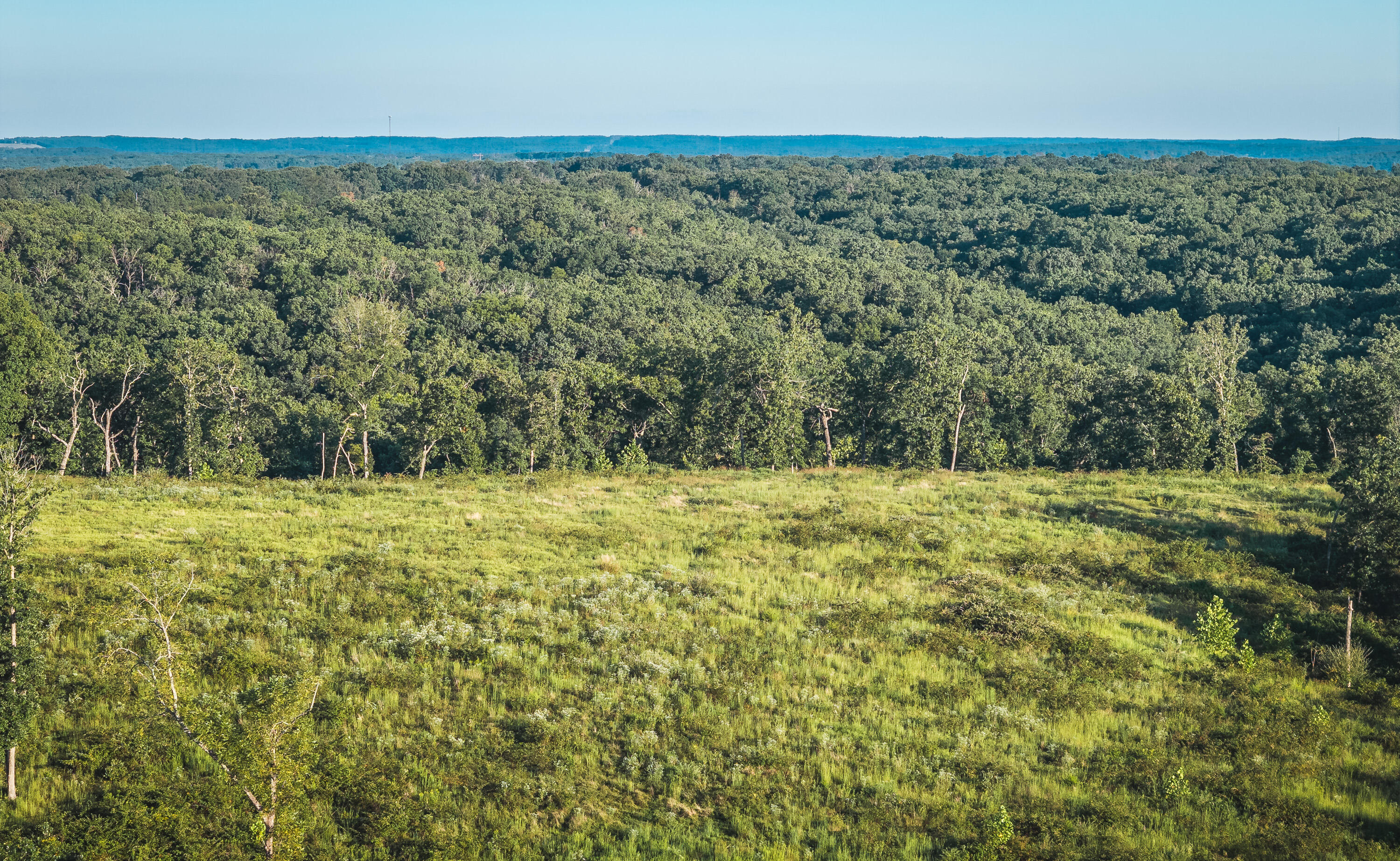 Photo 24 - Land for sale – 000  Pool Holler Cave Road  Rolla, MO