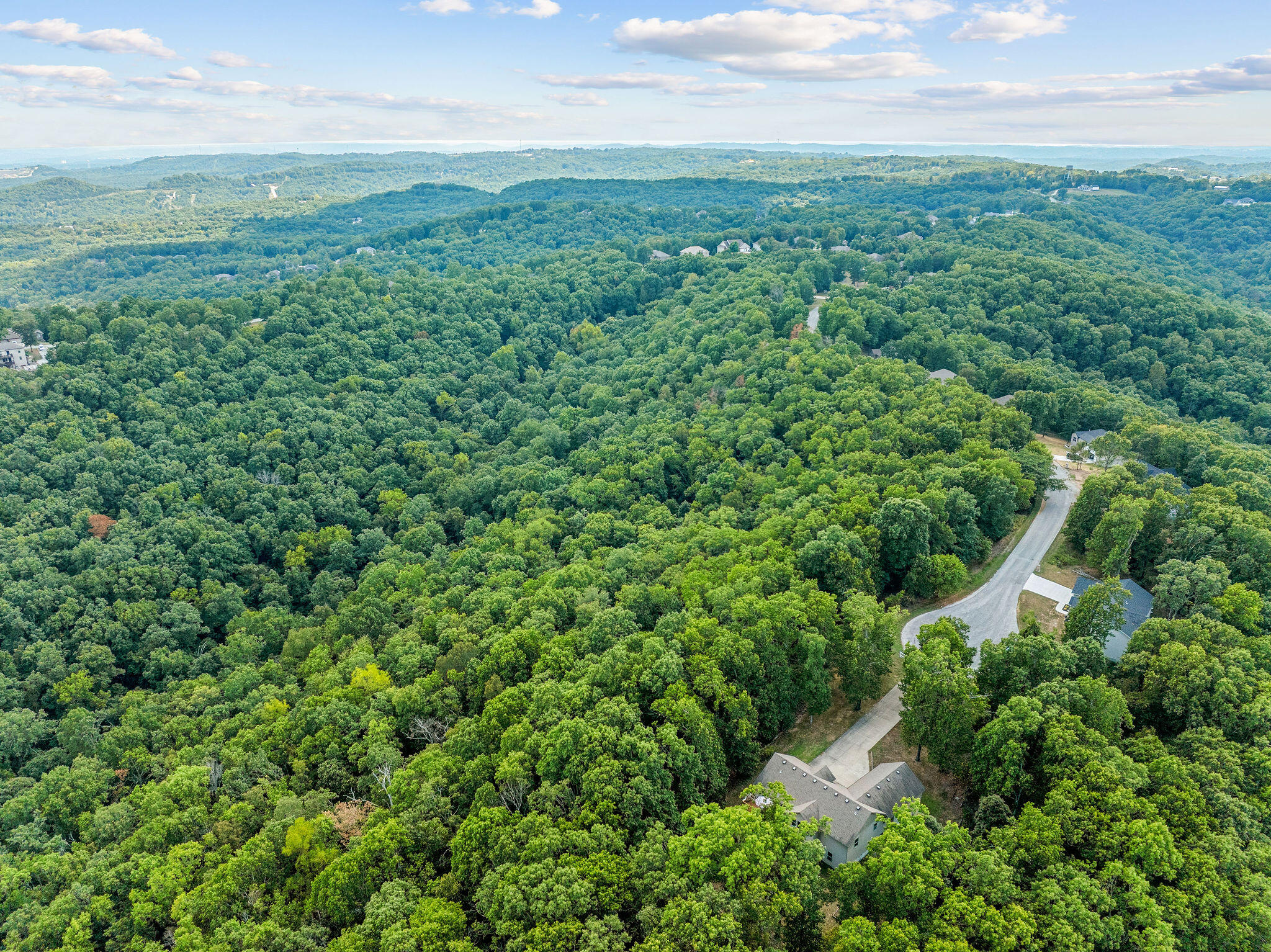 Photo 7 - Land for sale – 440 N Ridge Place  Branson, MO