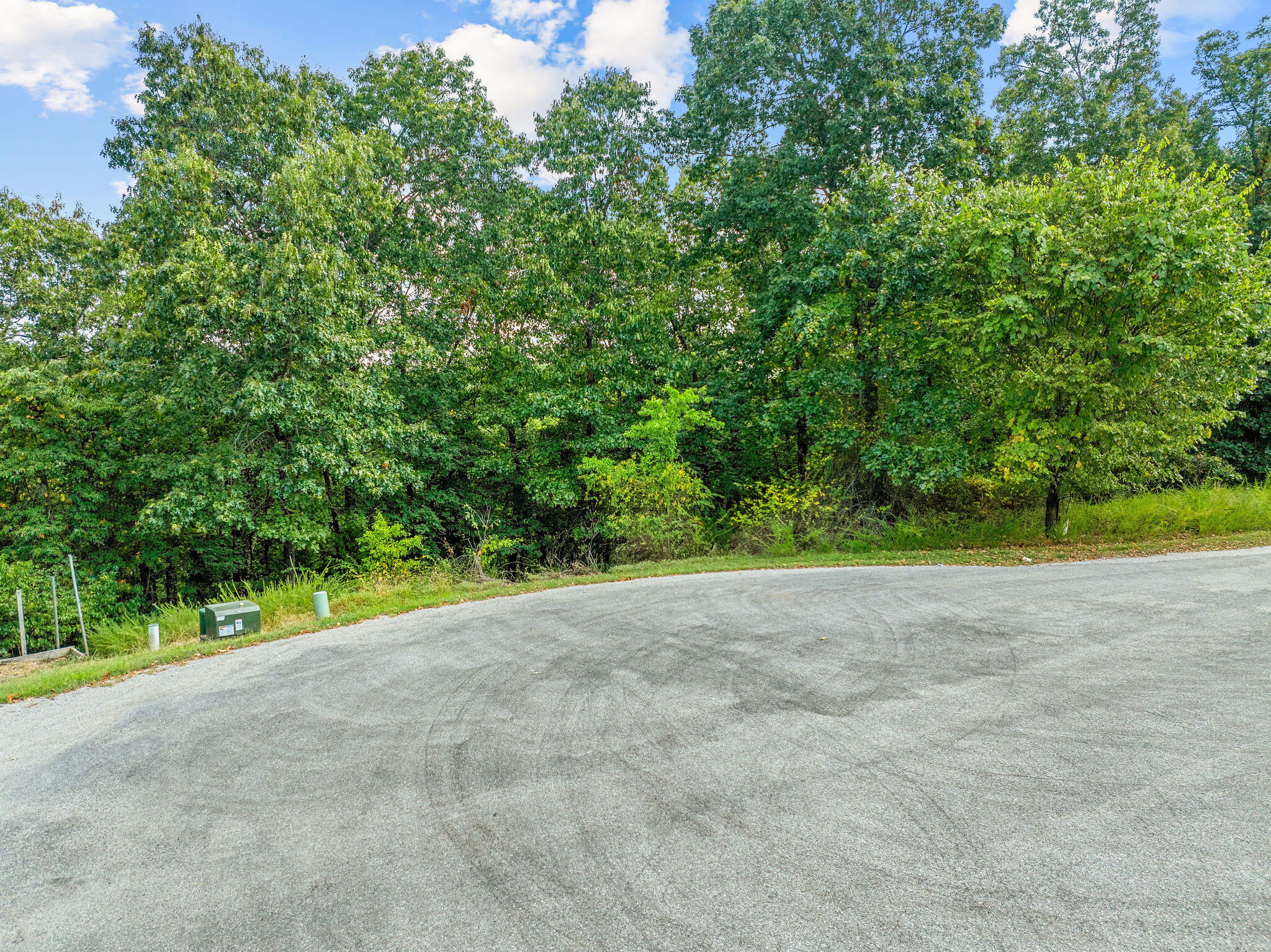 Photo 8 - Land for sale – 440 N Ridge Place  Branson, MO