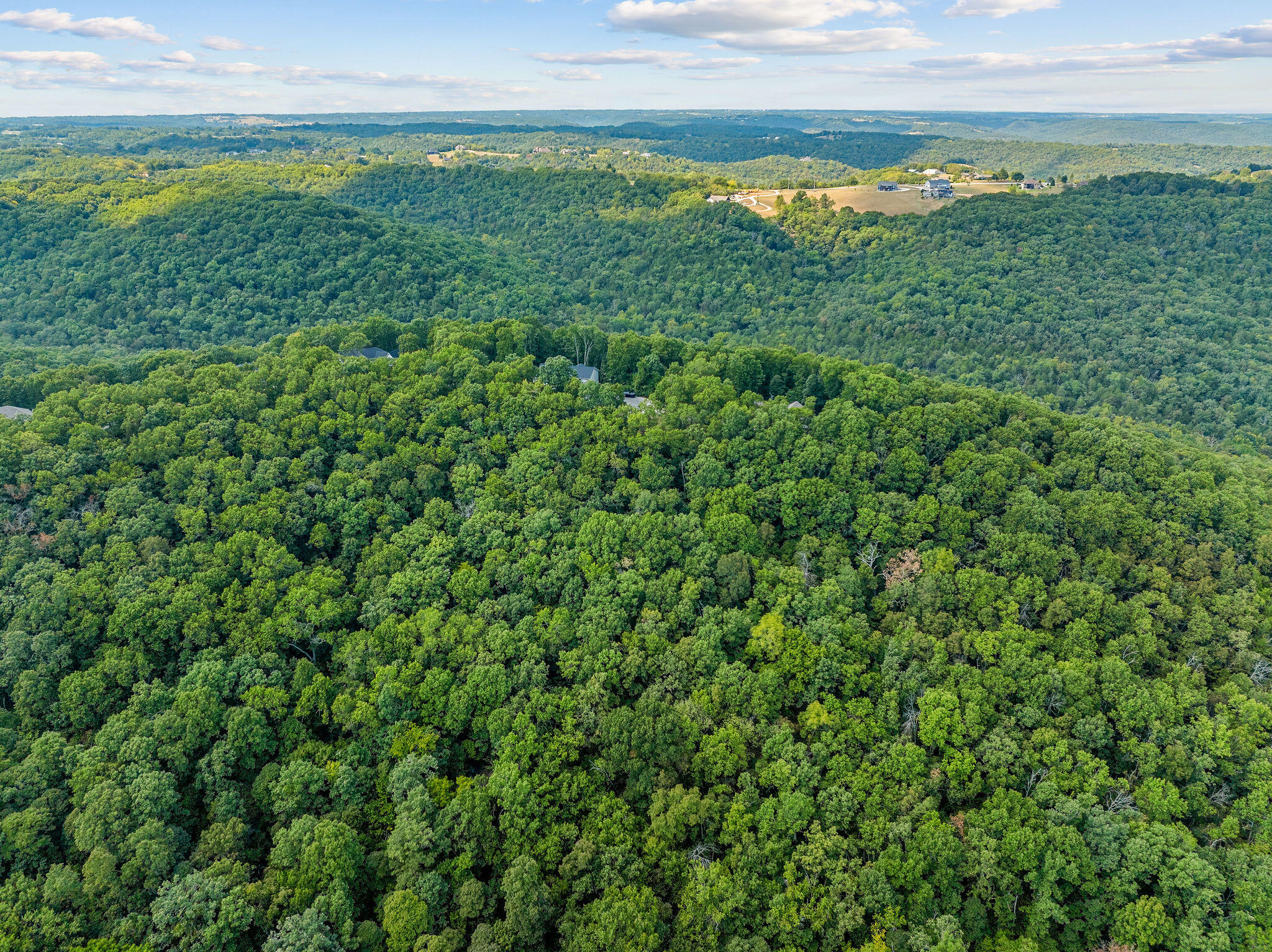 Photo 15 - Land for sale – 440 N Ridge Place  Branson, MO