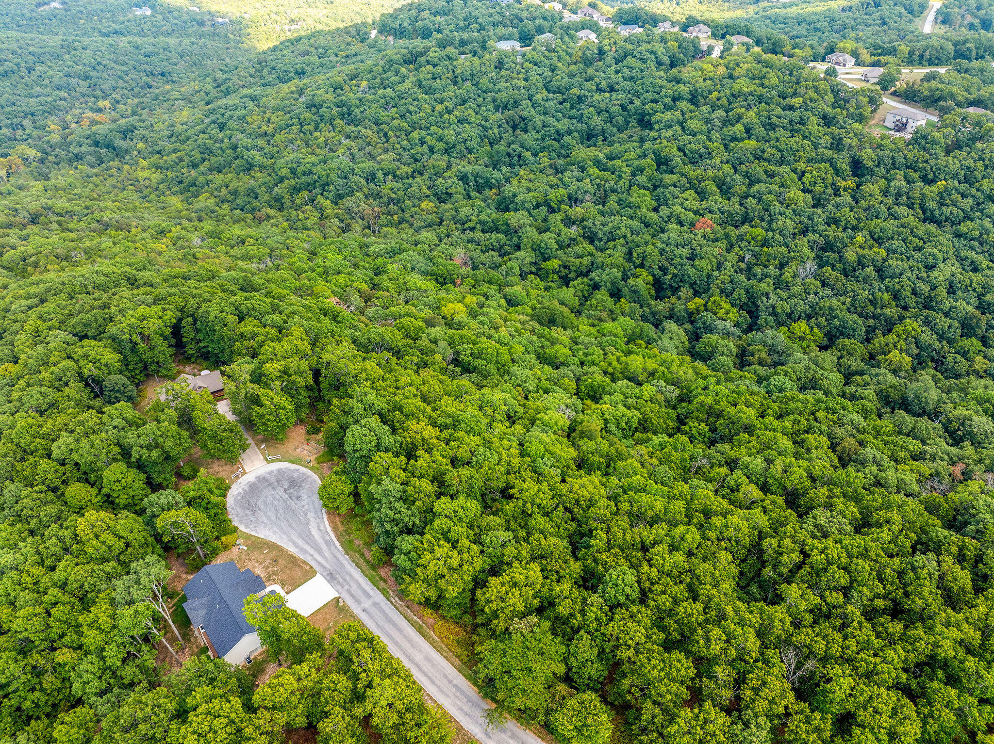 Photo 14 - Land for sale – 440 N Ridge Place  Branson, MO