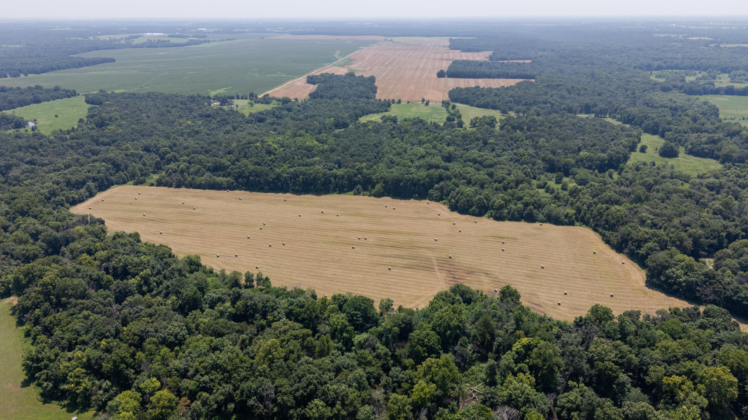 Photo 16 - Farm for sale – 1059 NE 100th Road  Sheldon, MO