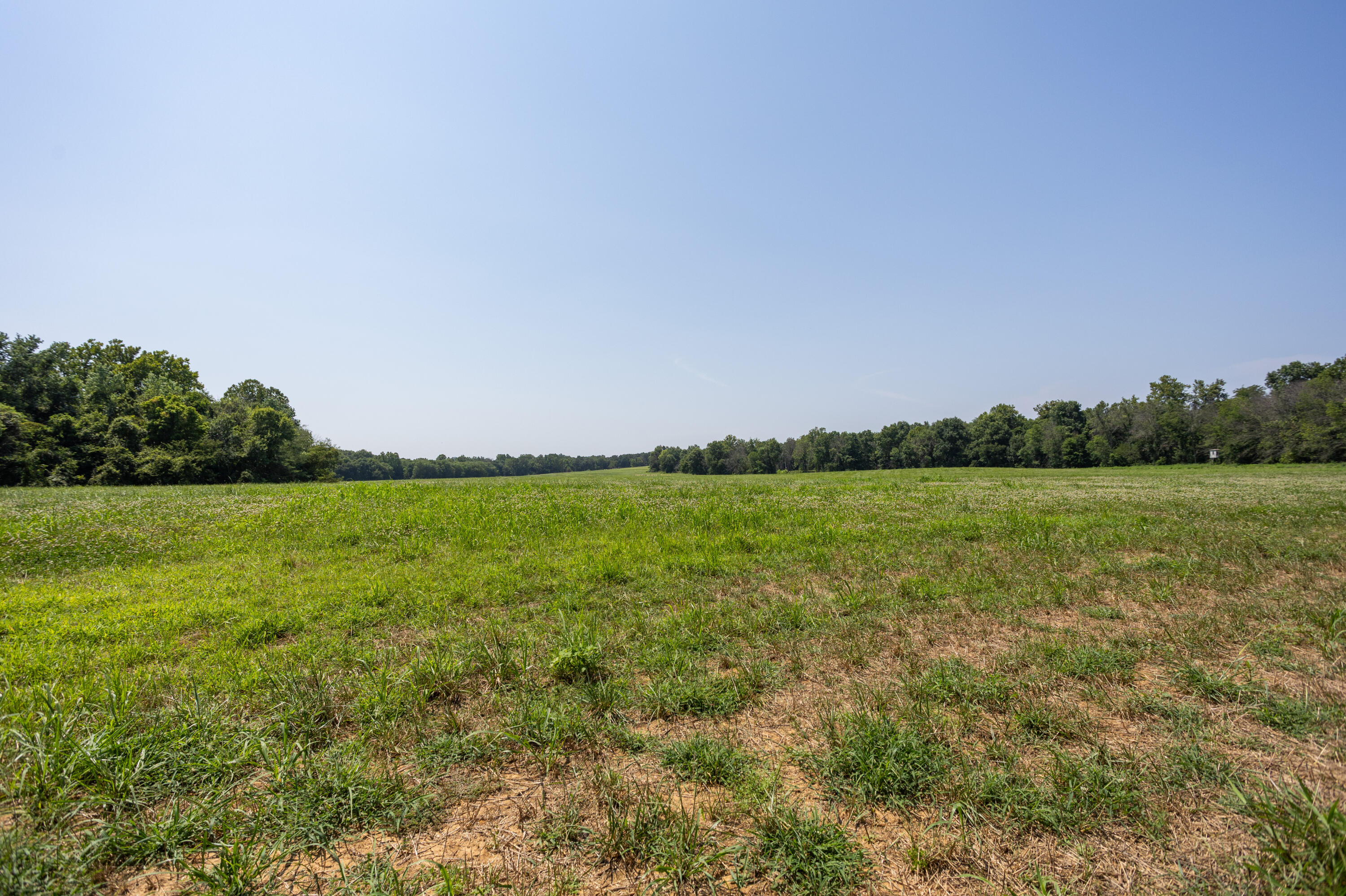 Photo 97 - Farm for sale – 1059 NE 100th Road  Sheldon, MO
