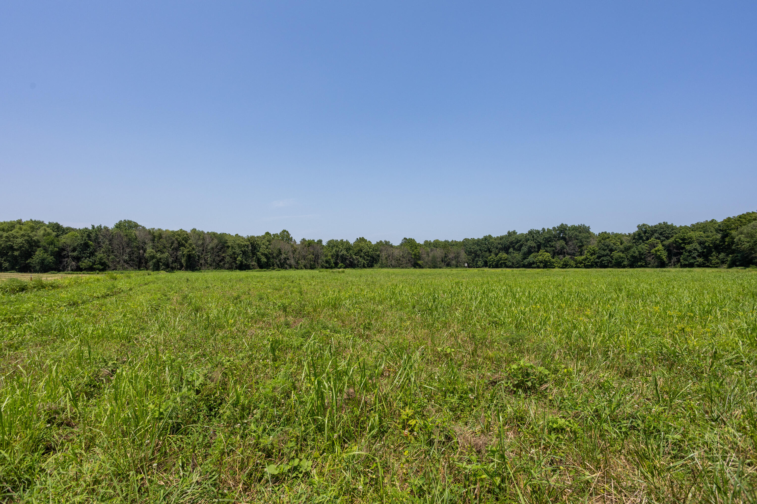 Photo 101 - Farm for sale – 1059 NE 100th Road  Sheldon, MO