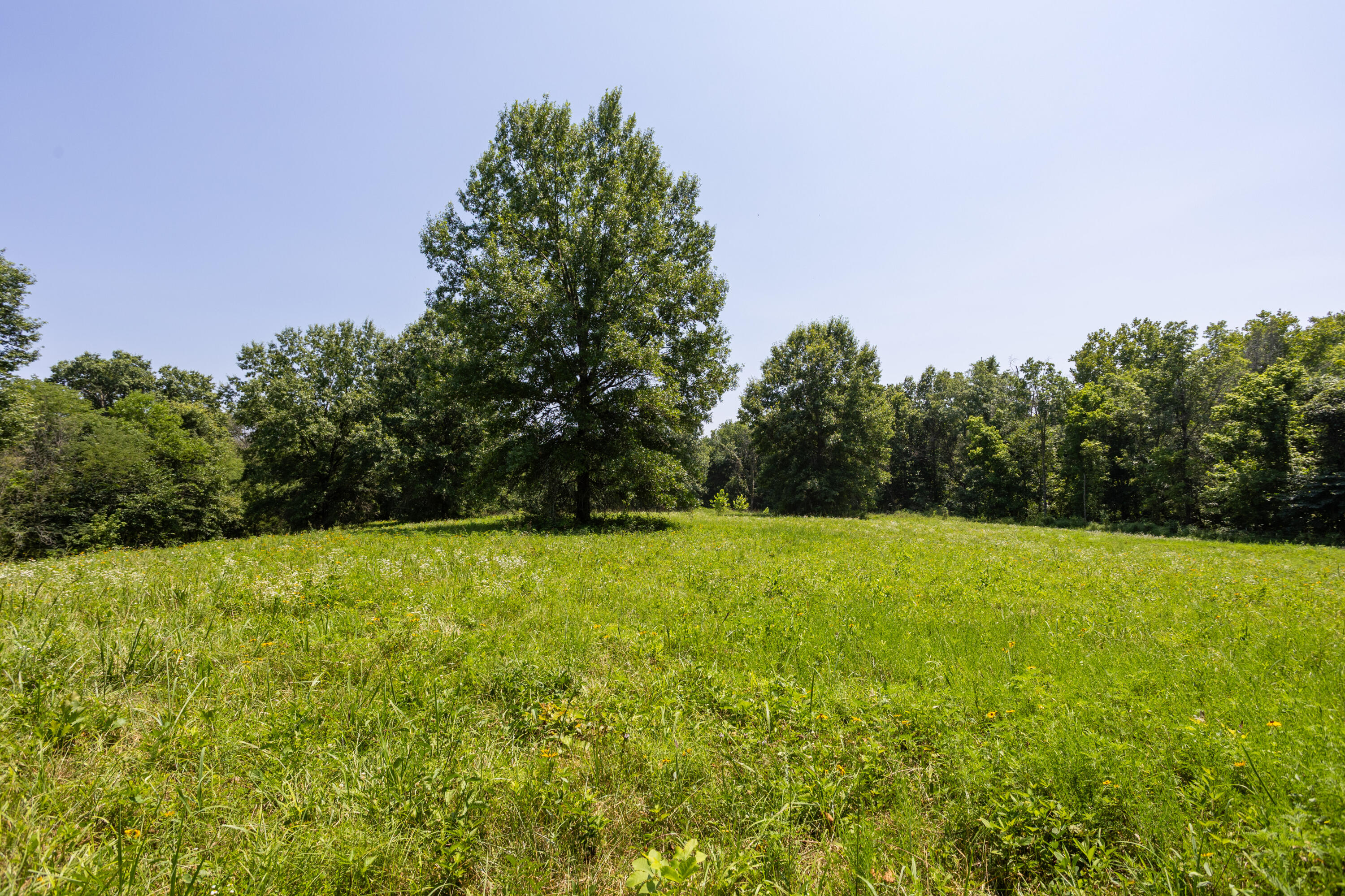 Photo 117 - Farm for sale – 1059 NE 100th Road  Sheldon, MO