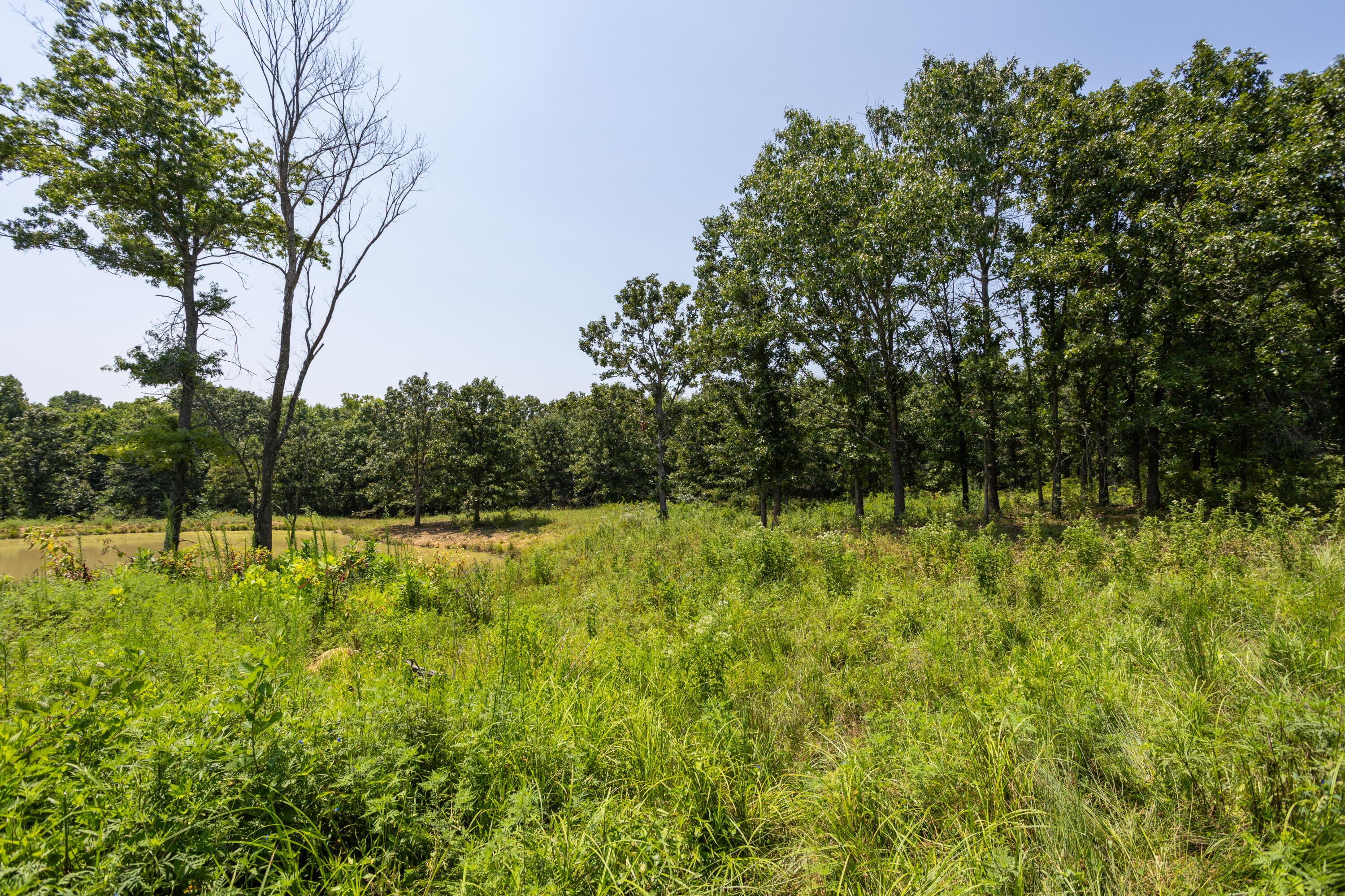 Photo 115 - Farm for sale – 1059 NE 100th Road  Sheldon, MO