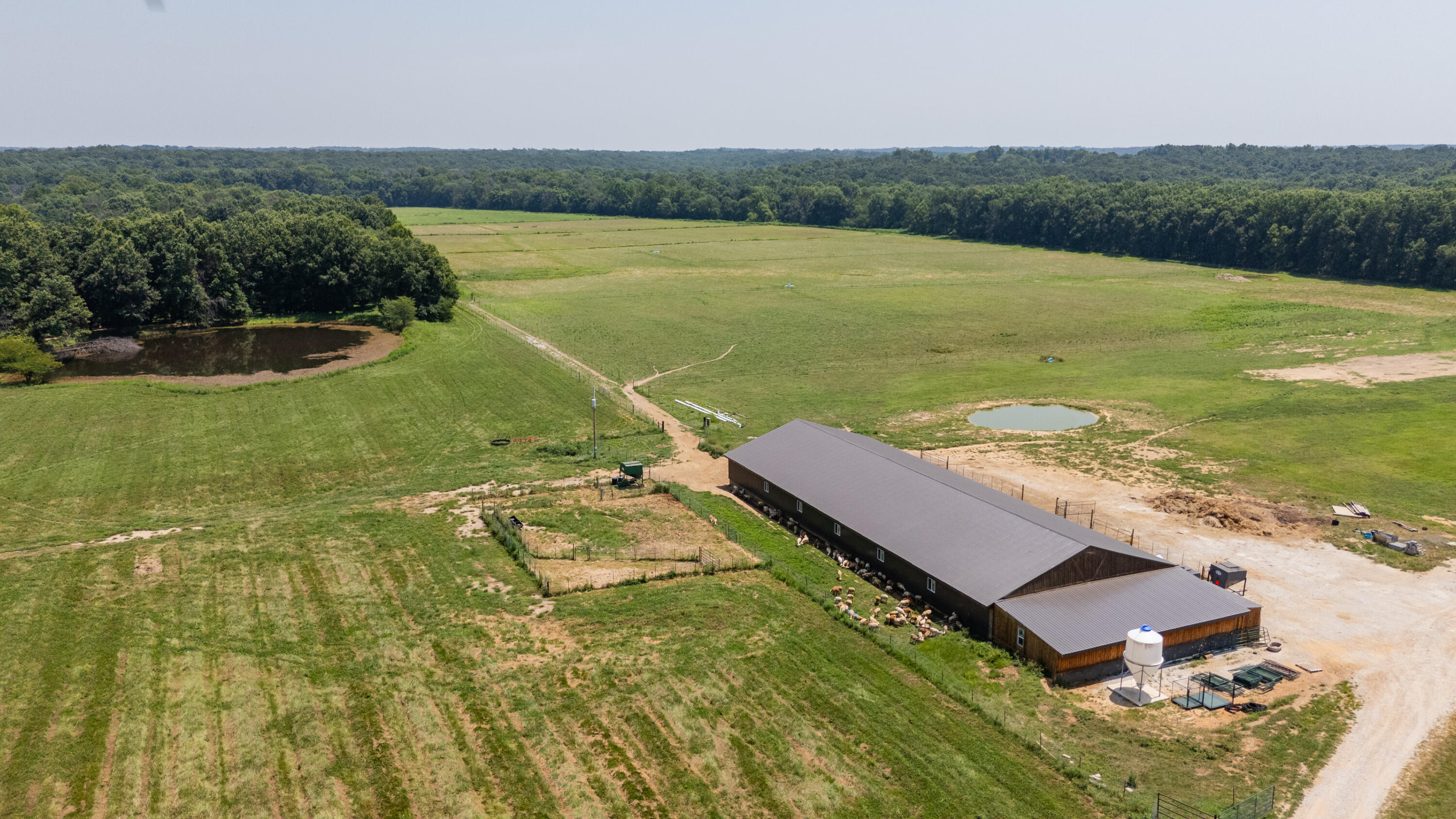 Photo 31 - Farm for sale – 1059 NE 100th Road  Sheldon, MO