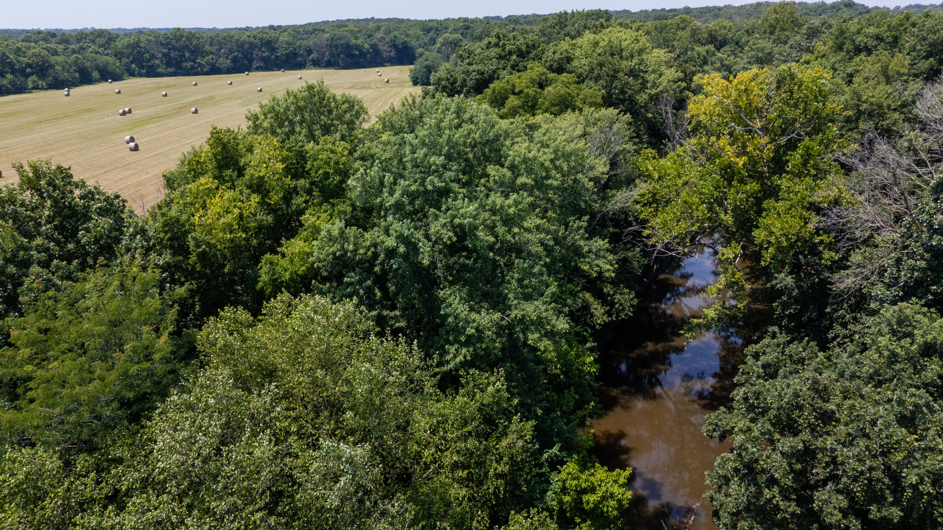 Photo 24 - Farm for sale – 1059 NE 100th Road  Sheldon, MO
