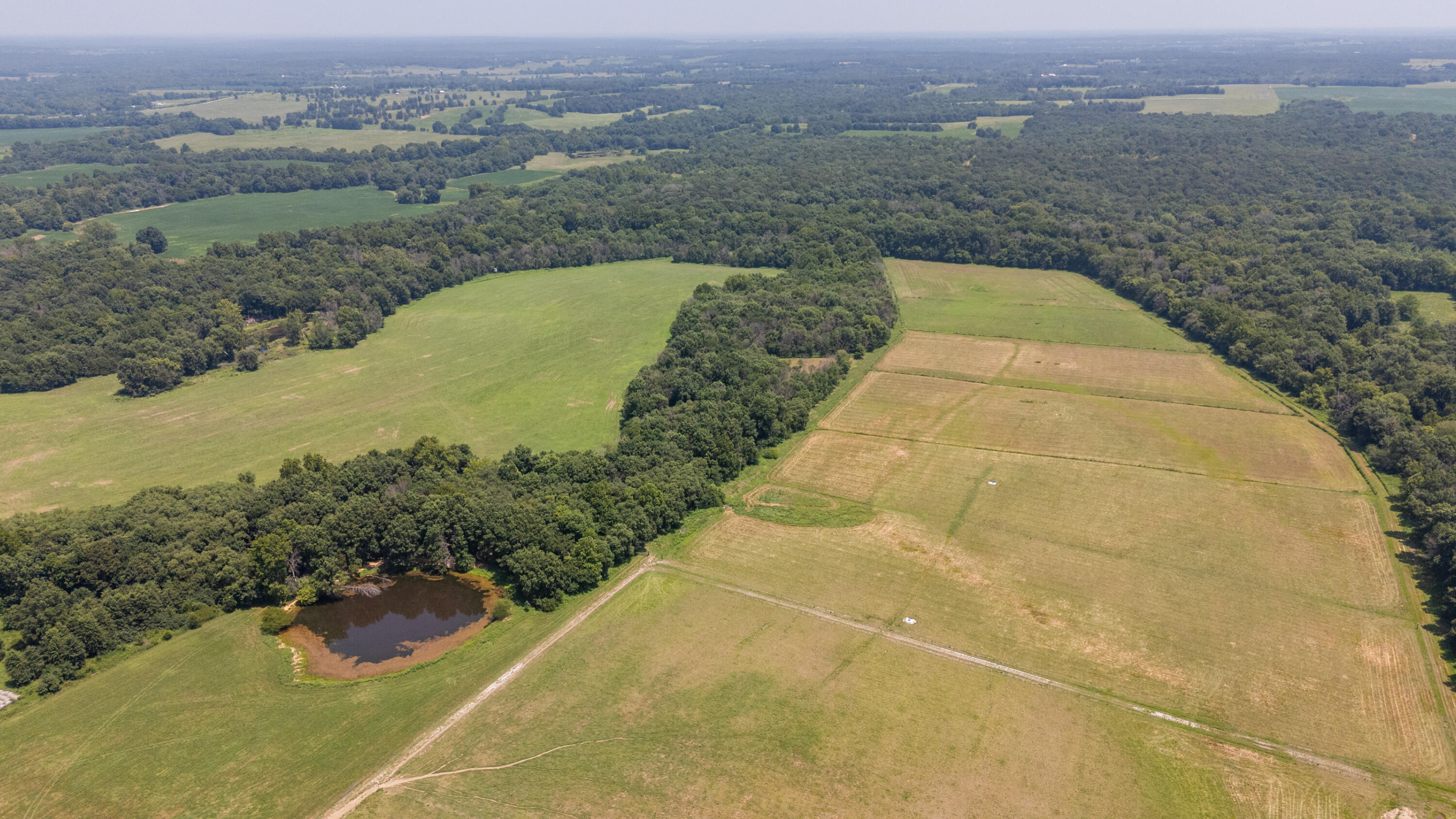 Photo 14 - Farm for sale – 1059 NE 100th Road  Sheldon, MO