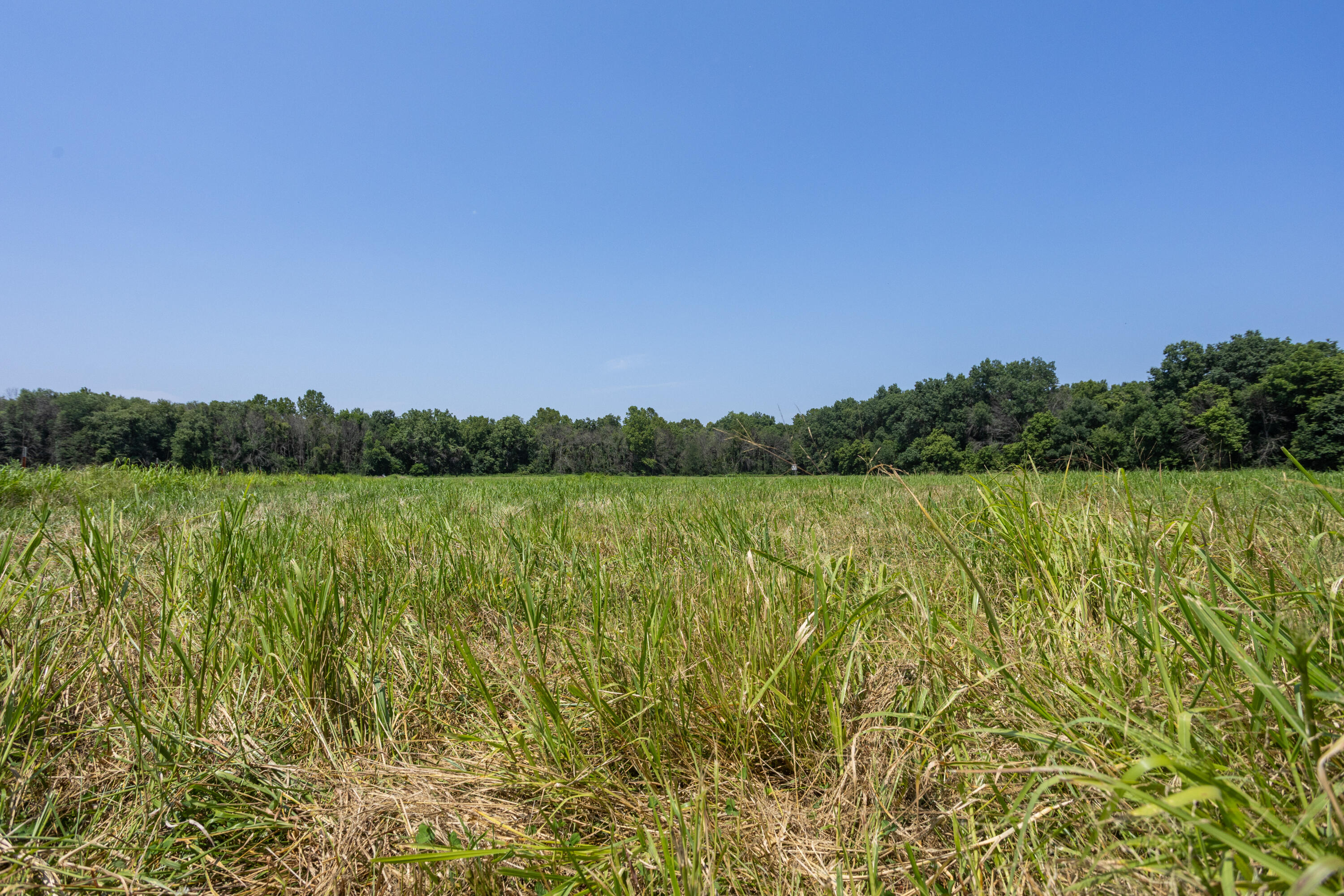 Photo 100 - Farm for sale – 1059 NE 100th Road  Sheldon, MO