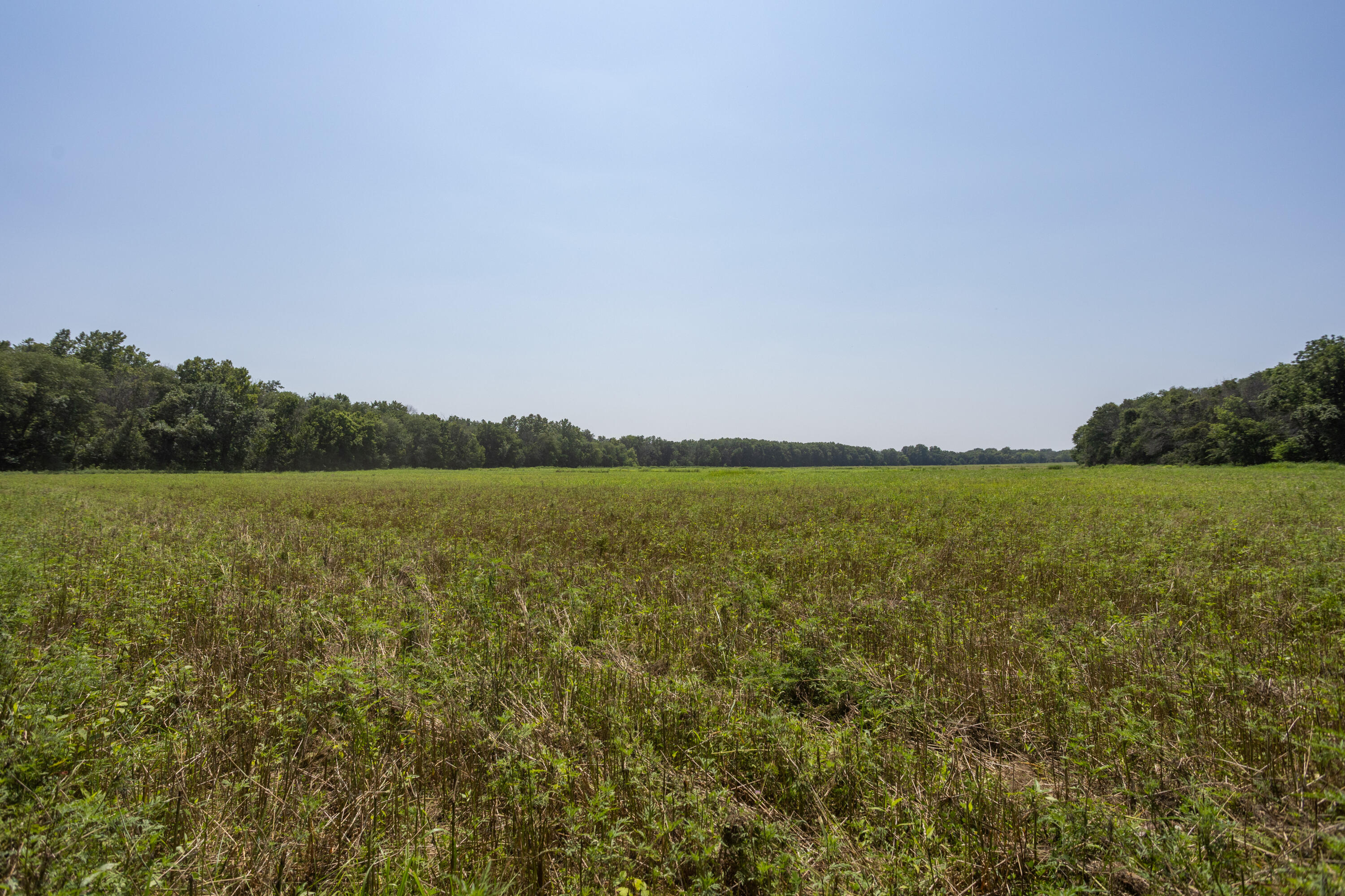 Photo 99 - Farm for sale – 1059 NE 100th Road  Sheldon, MO