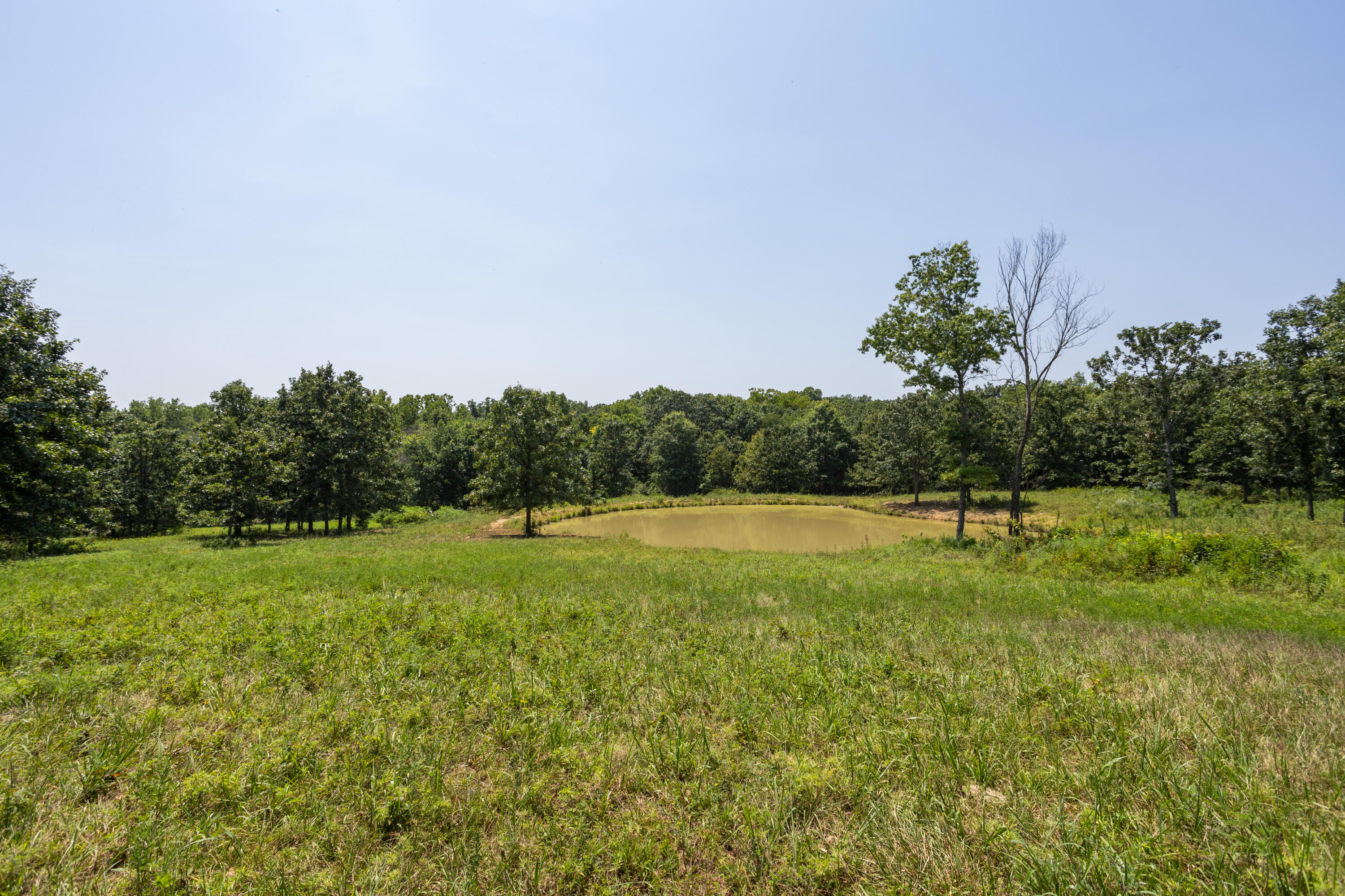 Photo 116 - Farm for sale – 1059 NE 100th Road  Sheldon, MO
