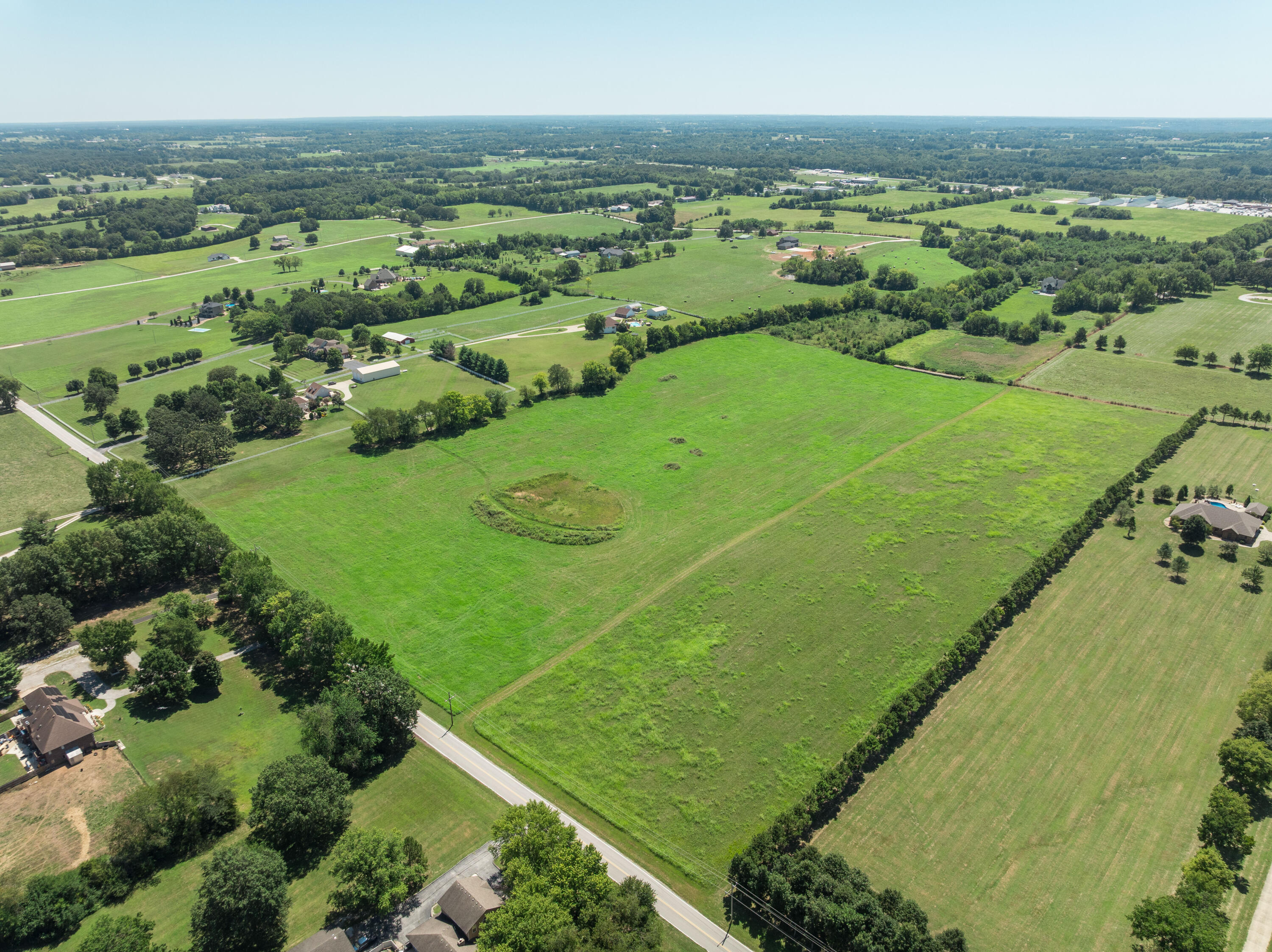 Photo 5 - Land for sale – 000 E Farm Rd 170   Rogersville, MO