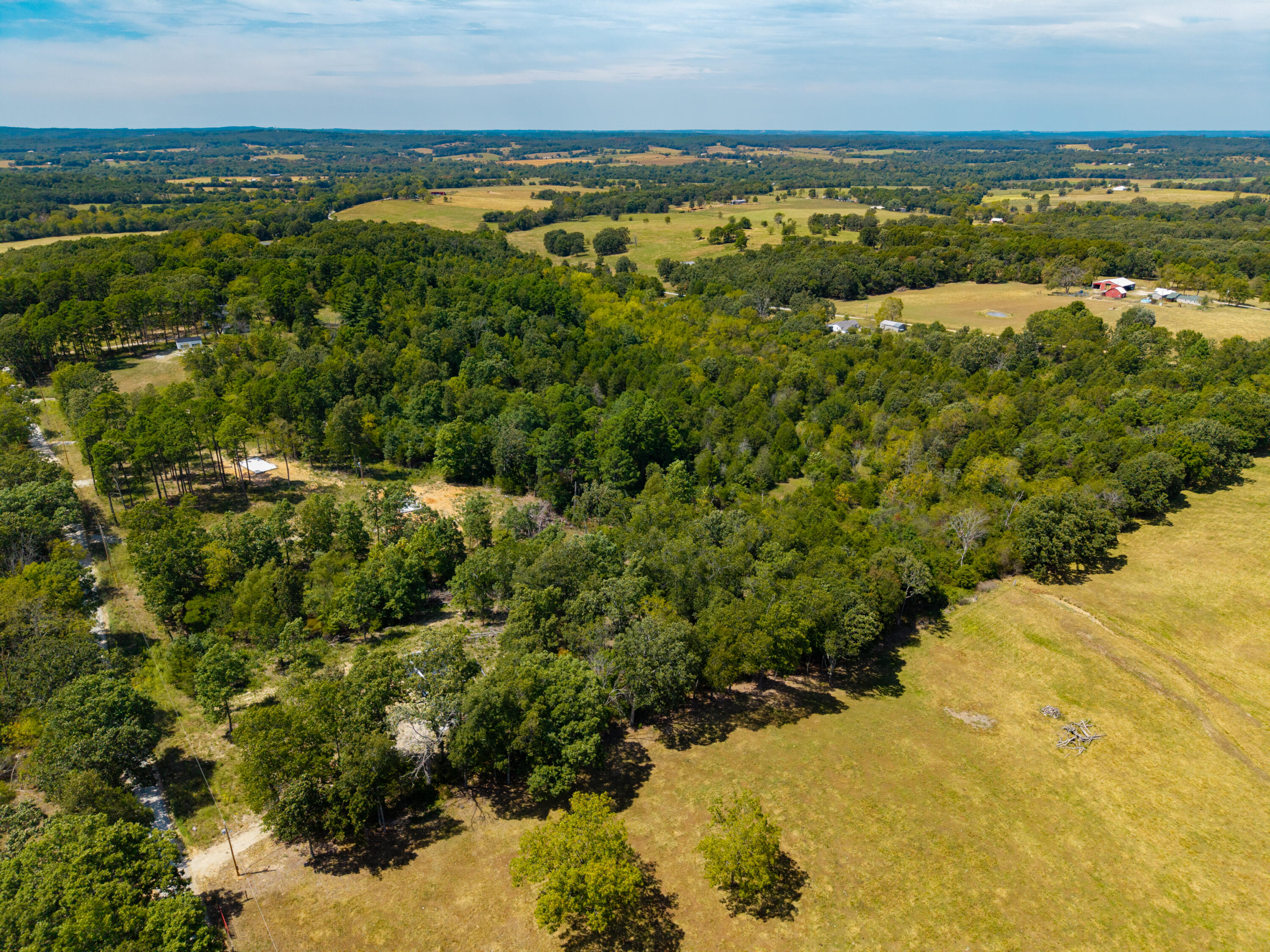 Photo 7 - Residential for sale – Lot 1  Malberg Road  Cabool, MO