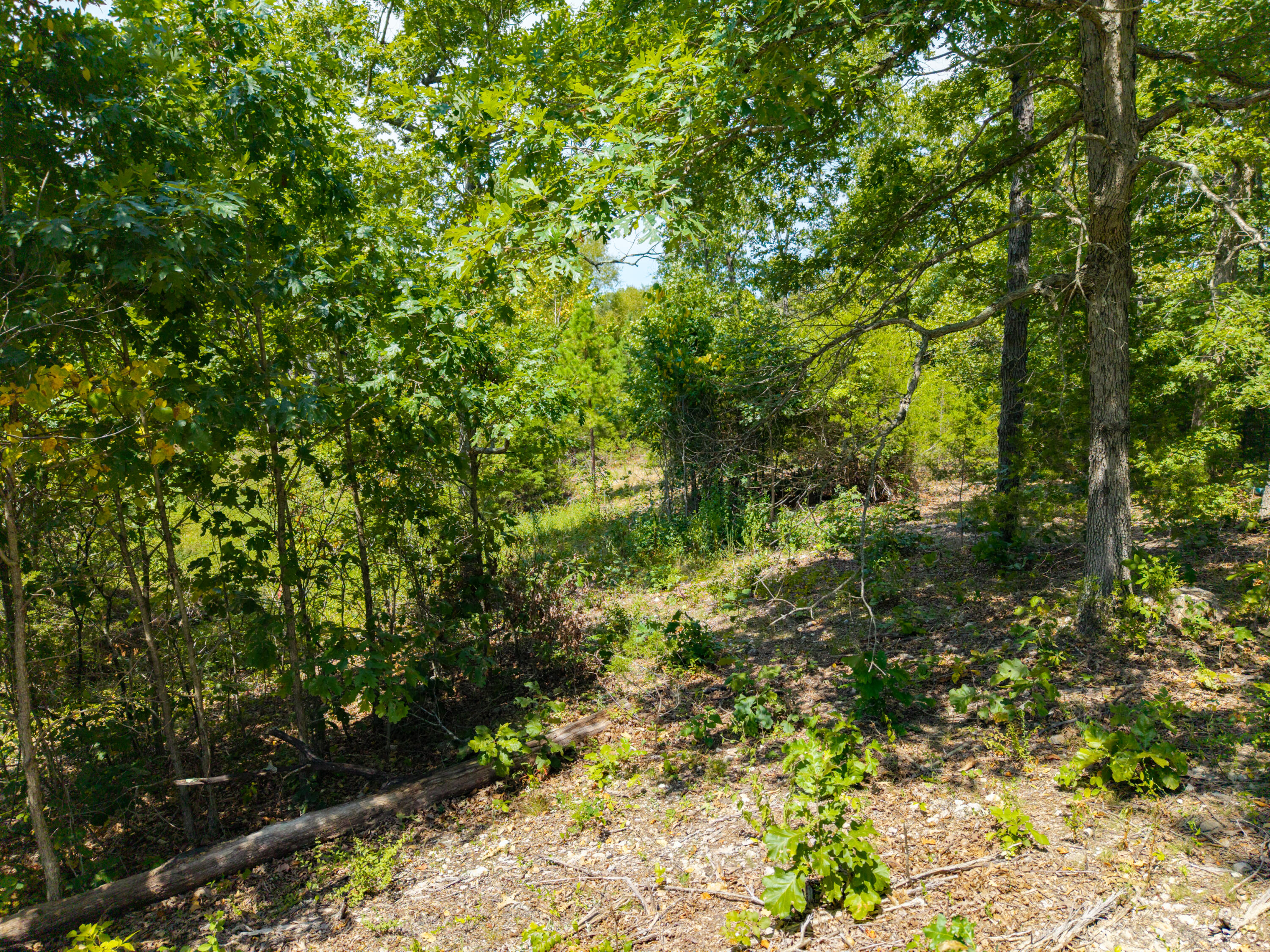 Photo 21 - Residential for sale – Lot 1  Malberg Road  Cabool, MO