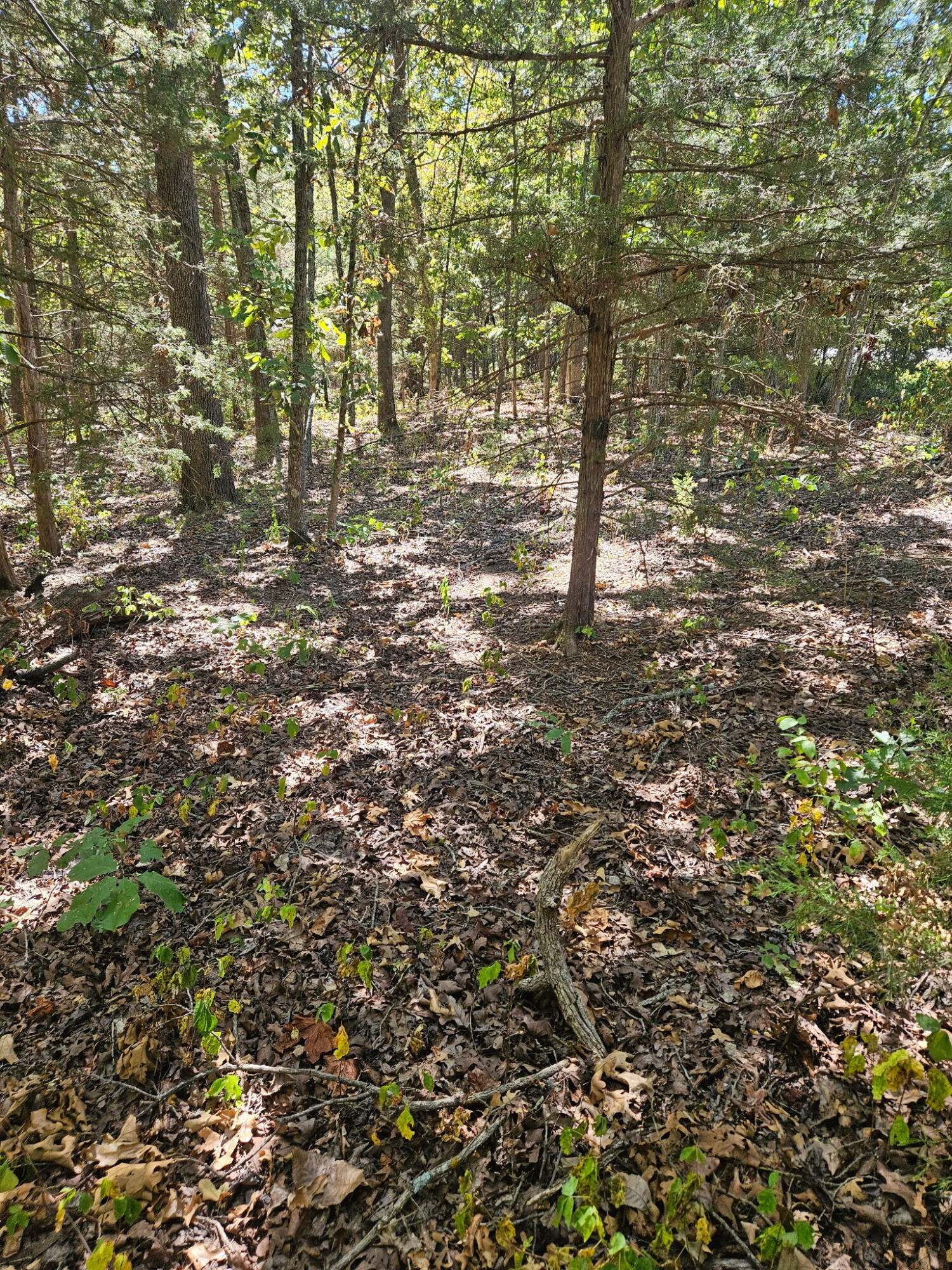 Photo 7 - Land for sale – 000  Highway U   Hermitage, MO