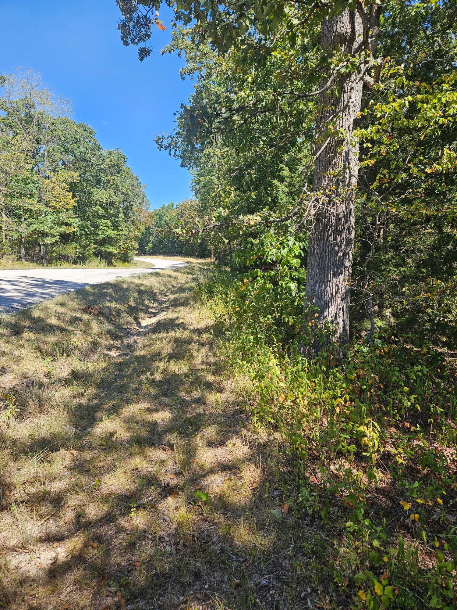 Photo 3 - Land for sale – 000  Highway U   Hermitage, MO