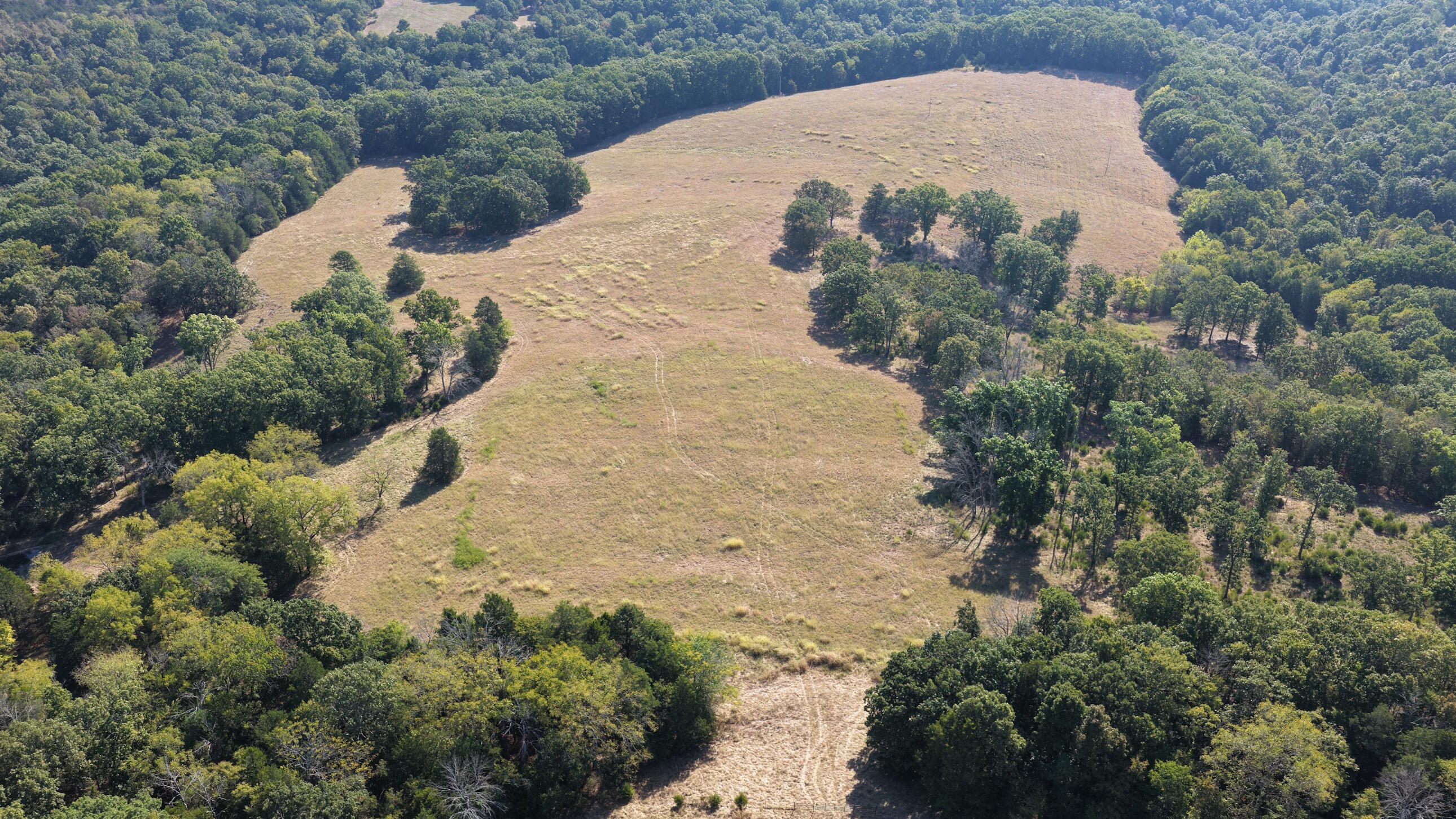 Photo 28 - Land for sale – 000  Ff   Gainesville, MO