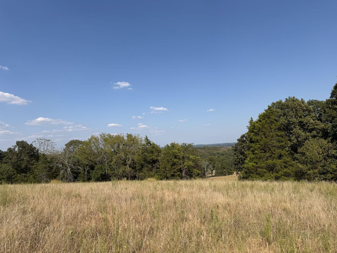 Photo 6 - Land for sale – 000  Ff   Gainesville, MO