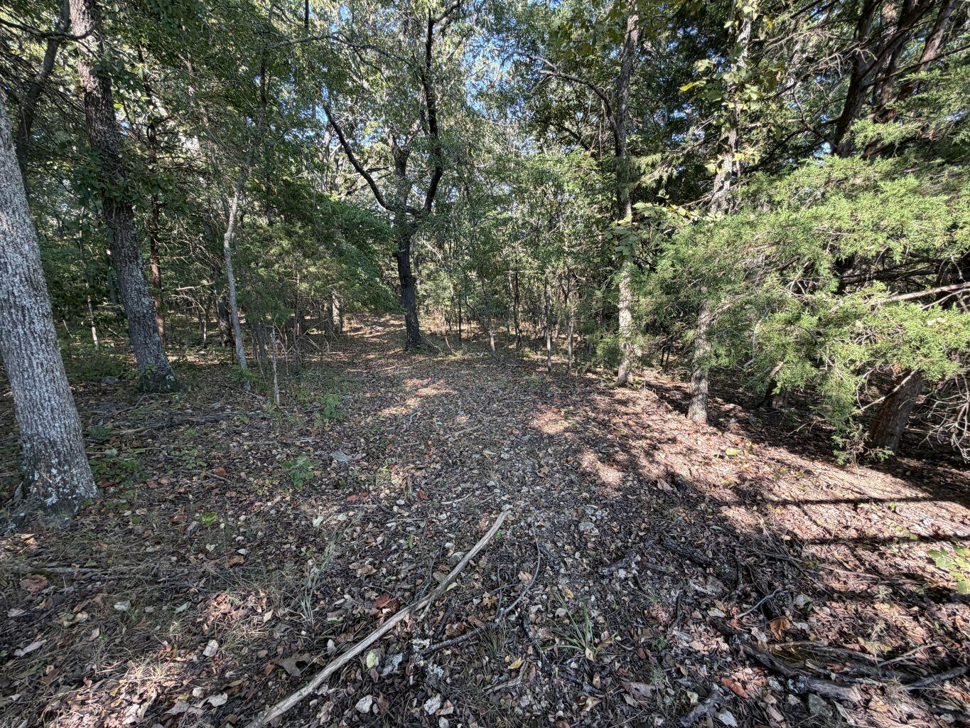 Photo 19 - Land for sale – 000  Ff   Gainesville, MO