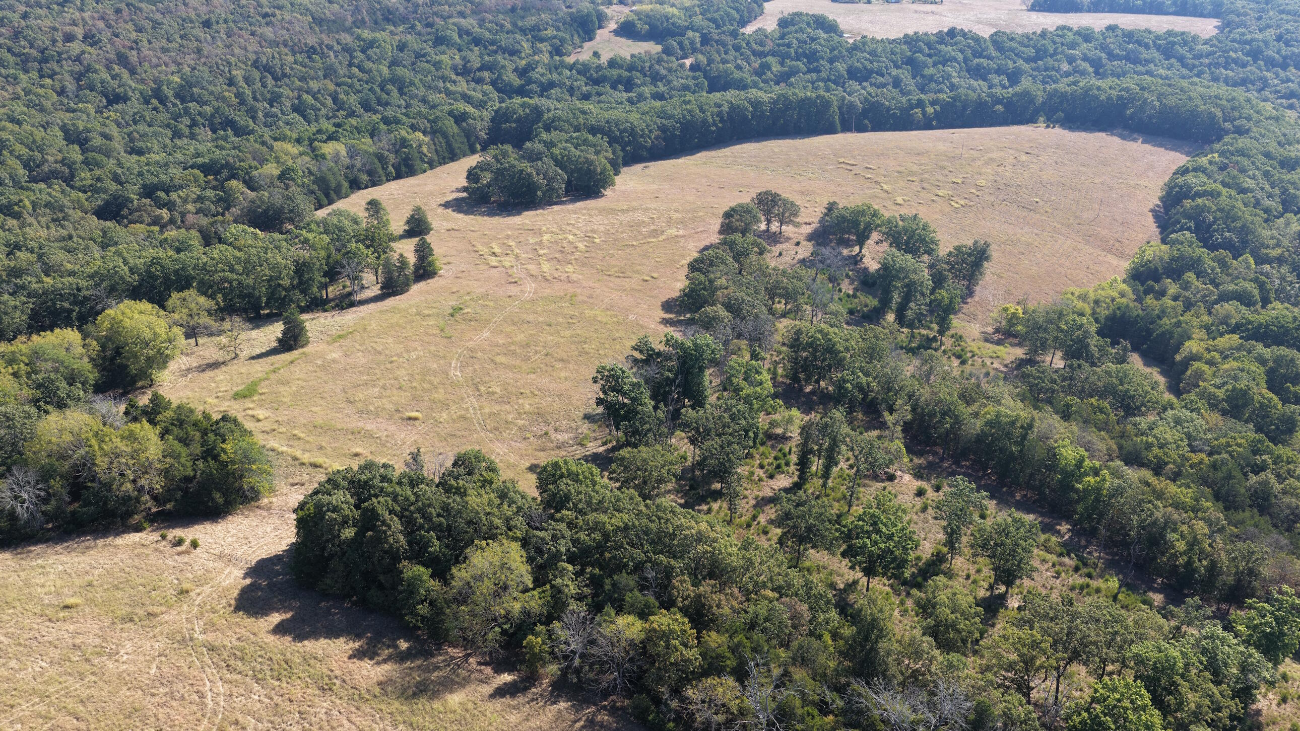 Photo 26 - Land for sale – 000  Ff   Gainesville, MO